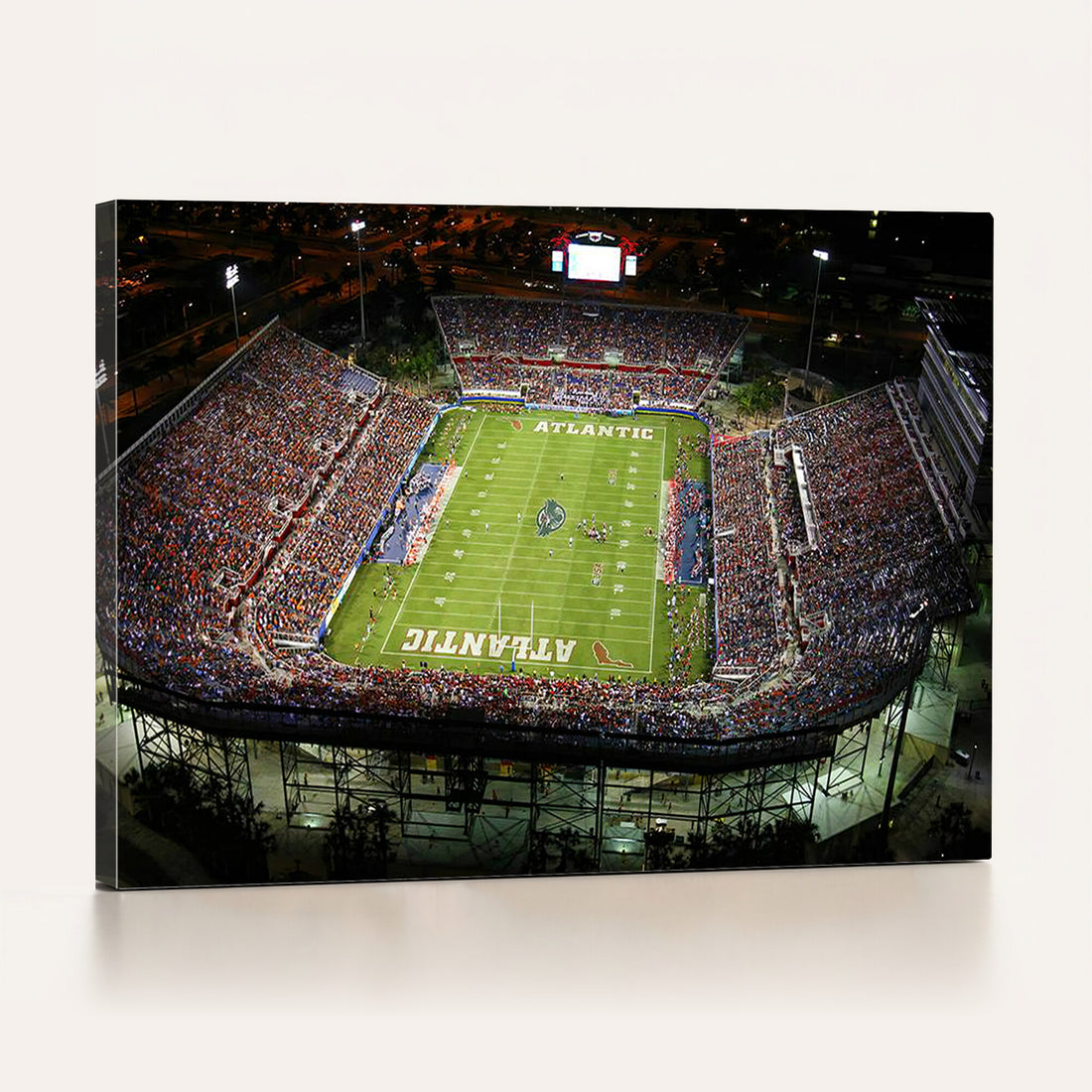 Florida Atlantic University Owls Football Team Print, Boca Raton, Framed and Ready to Hang