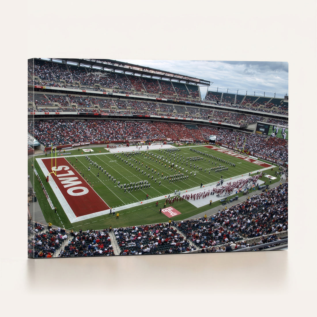The Temple University Owls Athletics Team Print, Framed and Ready to Hang