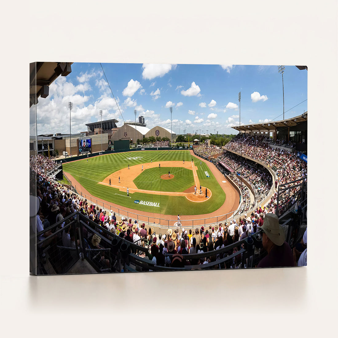 The Texas A&M University Aggies Athletics Team Print