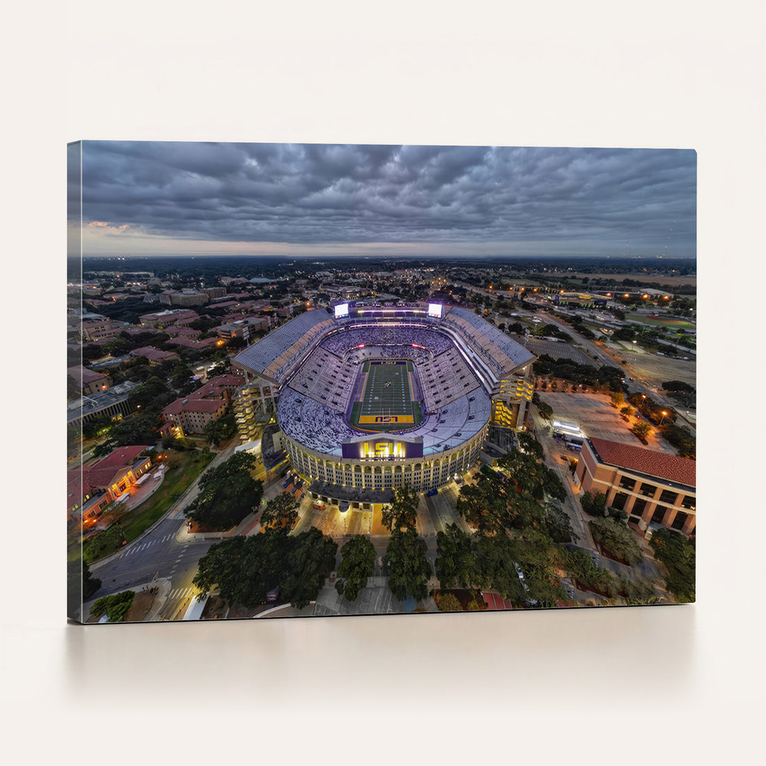 The Louisiana State University Tigers Football Team Print