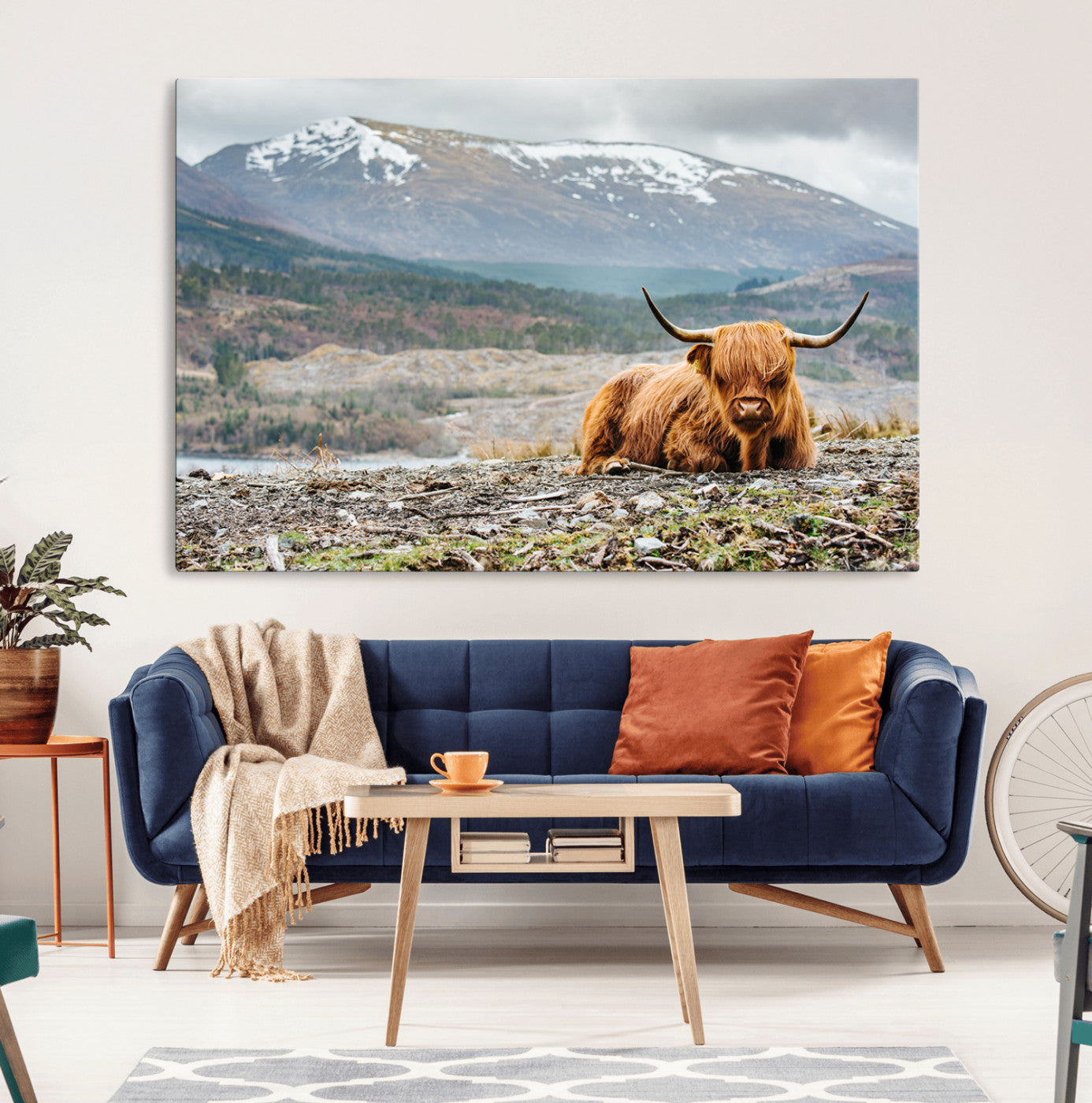 -Highland Cow Horn Farm Wall Art Canvas Print