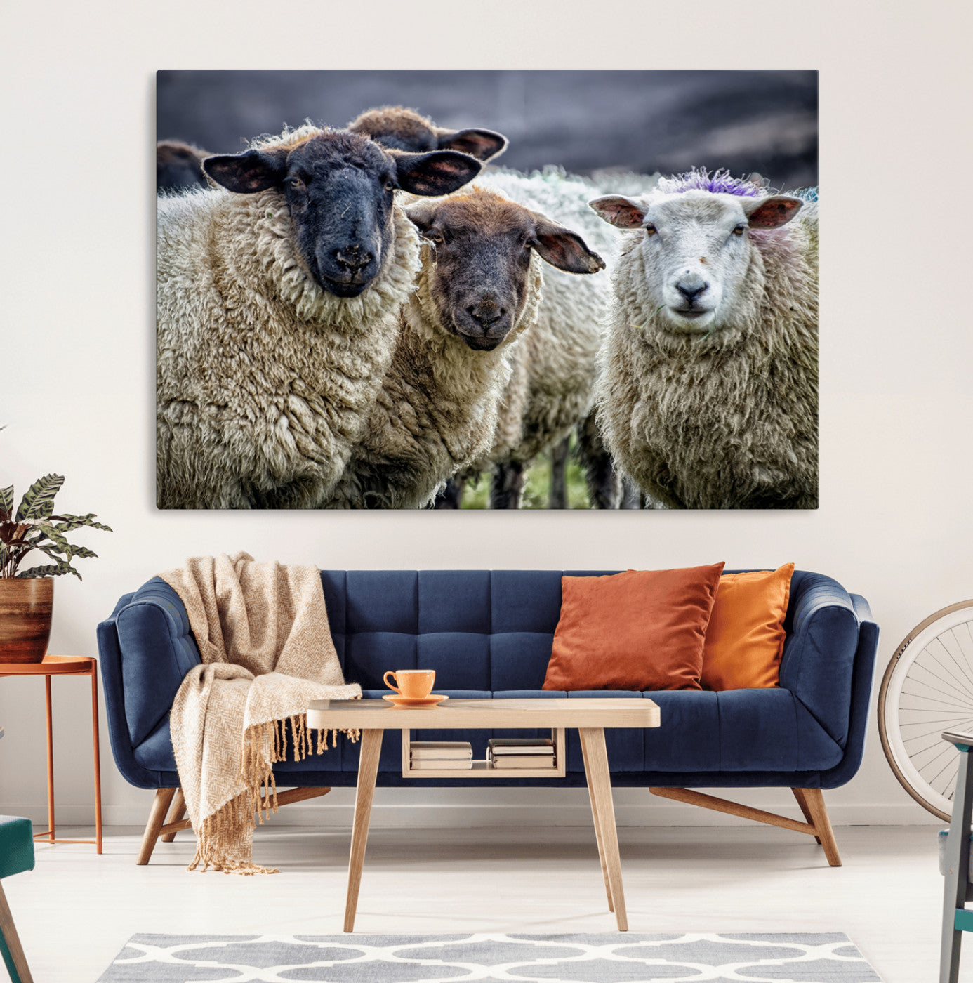 -Charming Sheep Portrait Wall Art – Trio of Woolly Companions Canvas Print, Framed, Ready to Hang