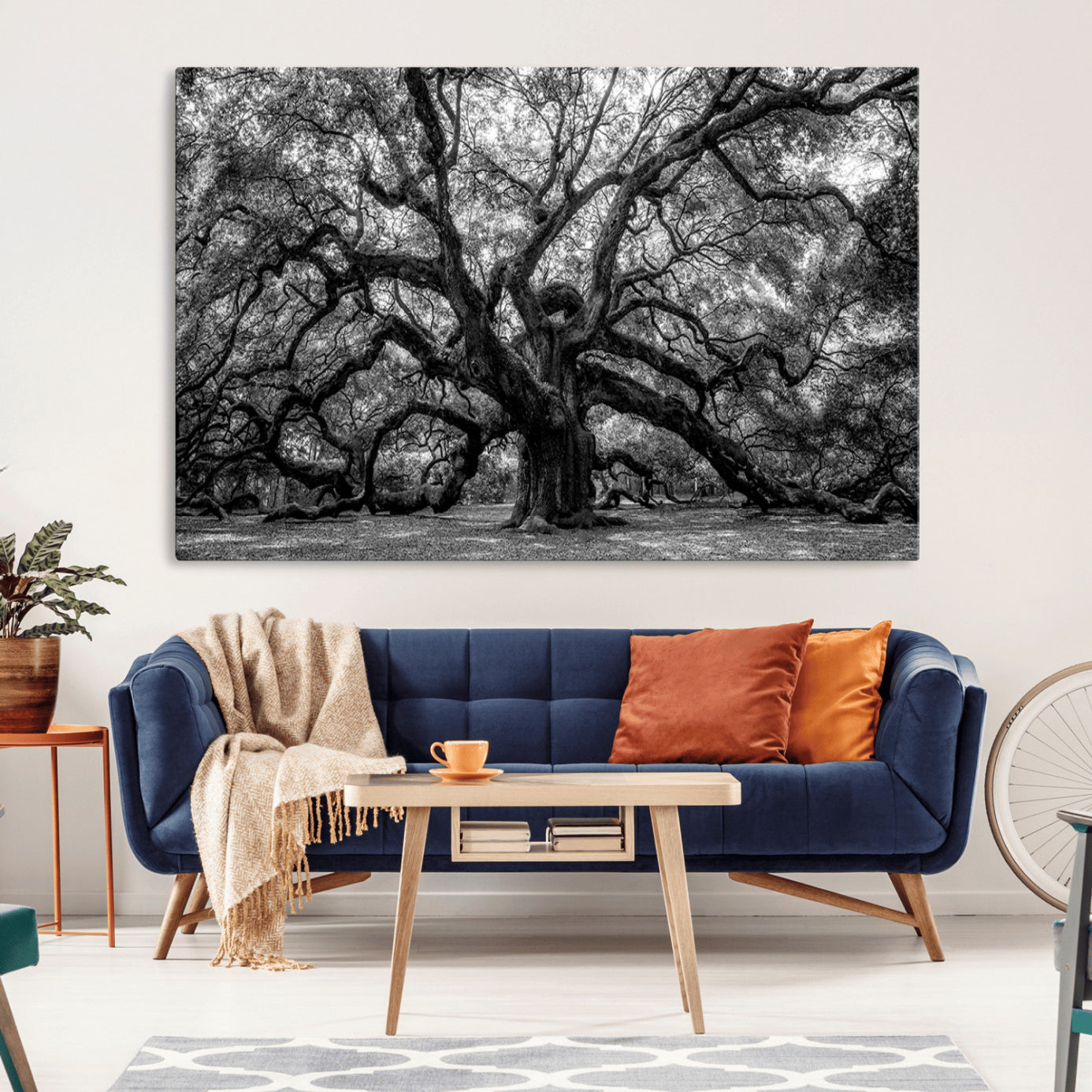 -Black and White Old Angel Oak Tree Wall Art Canvas Print