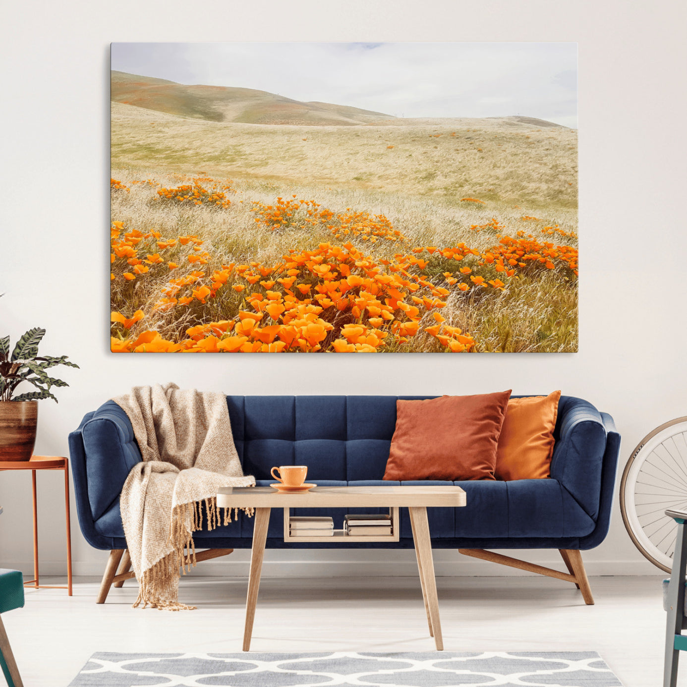 A golden field with vibrant orange poppies blooming across rolling hills under a soft, sunlit sky, creating a warm and rustic landscape.