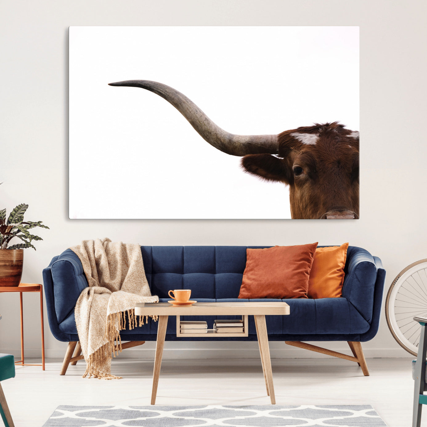 Close-up of Texas Longhorn horn and eye on white background, perfect for minimalist or modern farmhouse style wall decor.