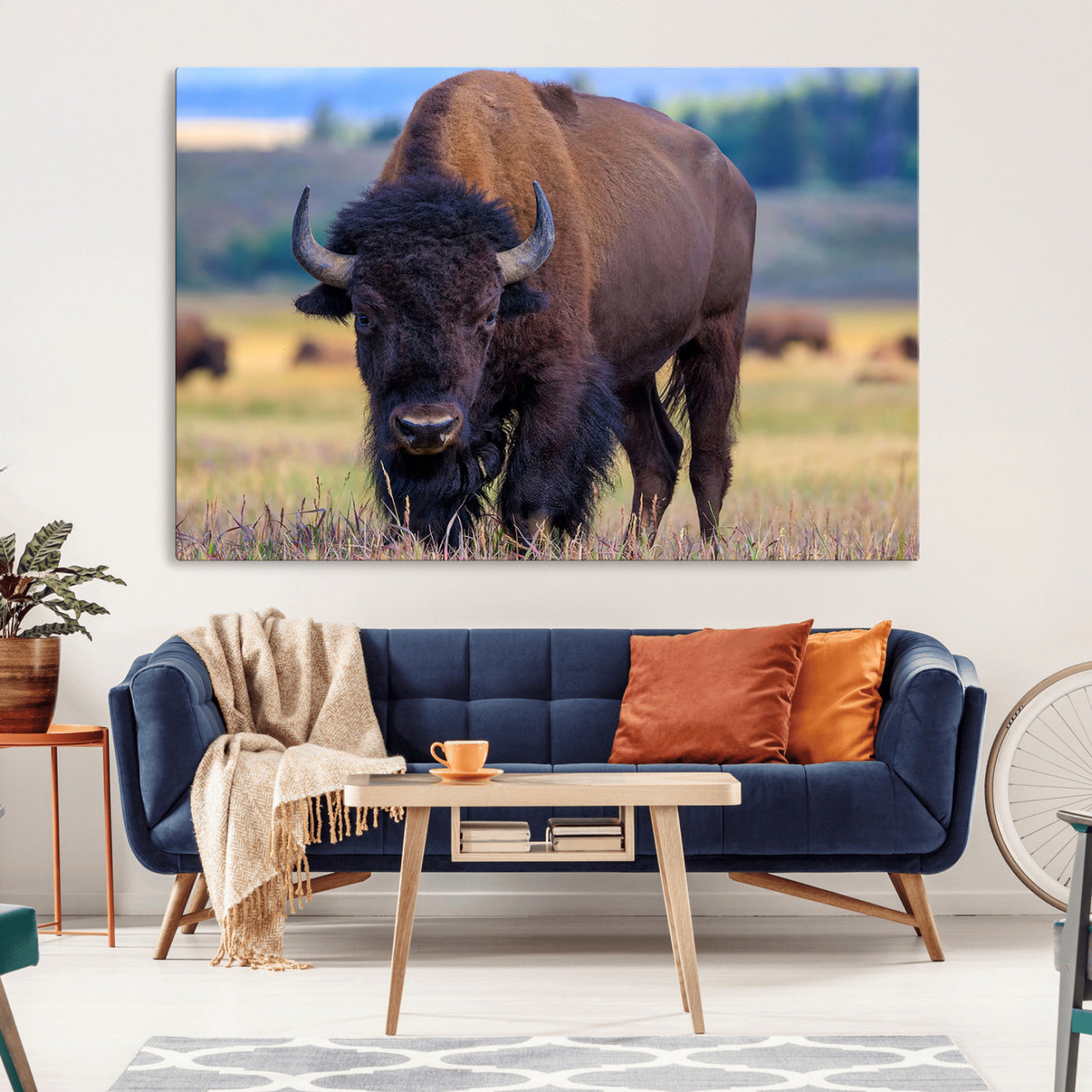 Close-up of a strong American bison standing in a grassy prairie with a blurred herd in background, perfect for rustic lodge decor.