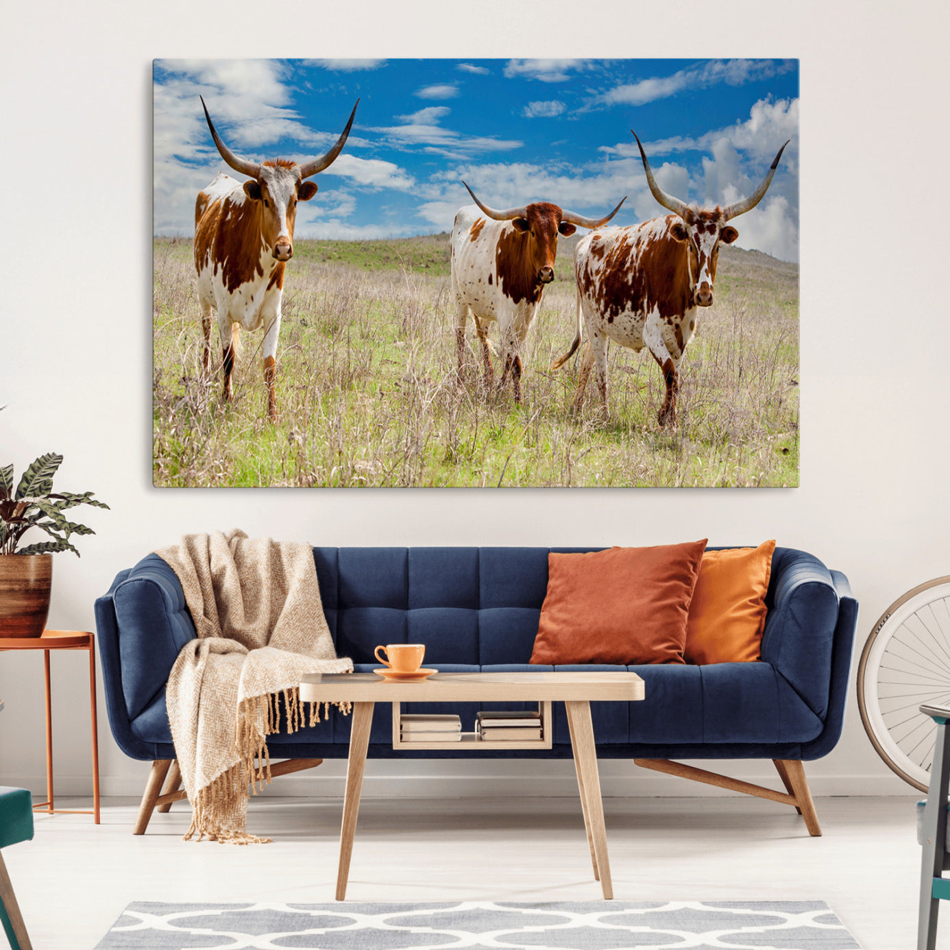 Three Texas longhorn cattle standing in dry grass under a bright blue sky, ideal for farmhouse or western rustic home decor.