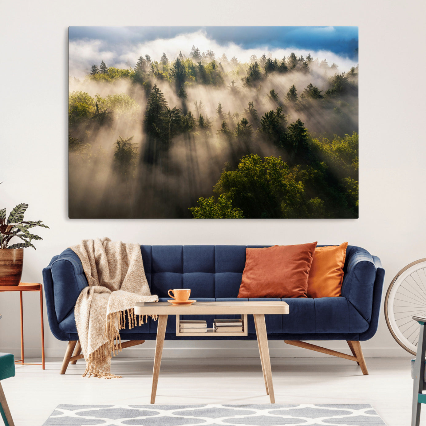 Sunlight streaming through misty pine trees in a lush green forest, creating a serene and atmospheric landscape, perfect for nature-inspired decor.
