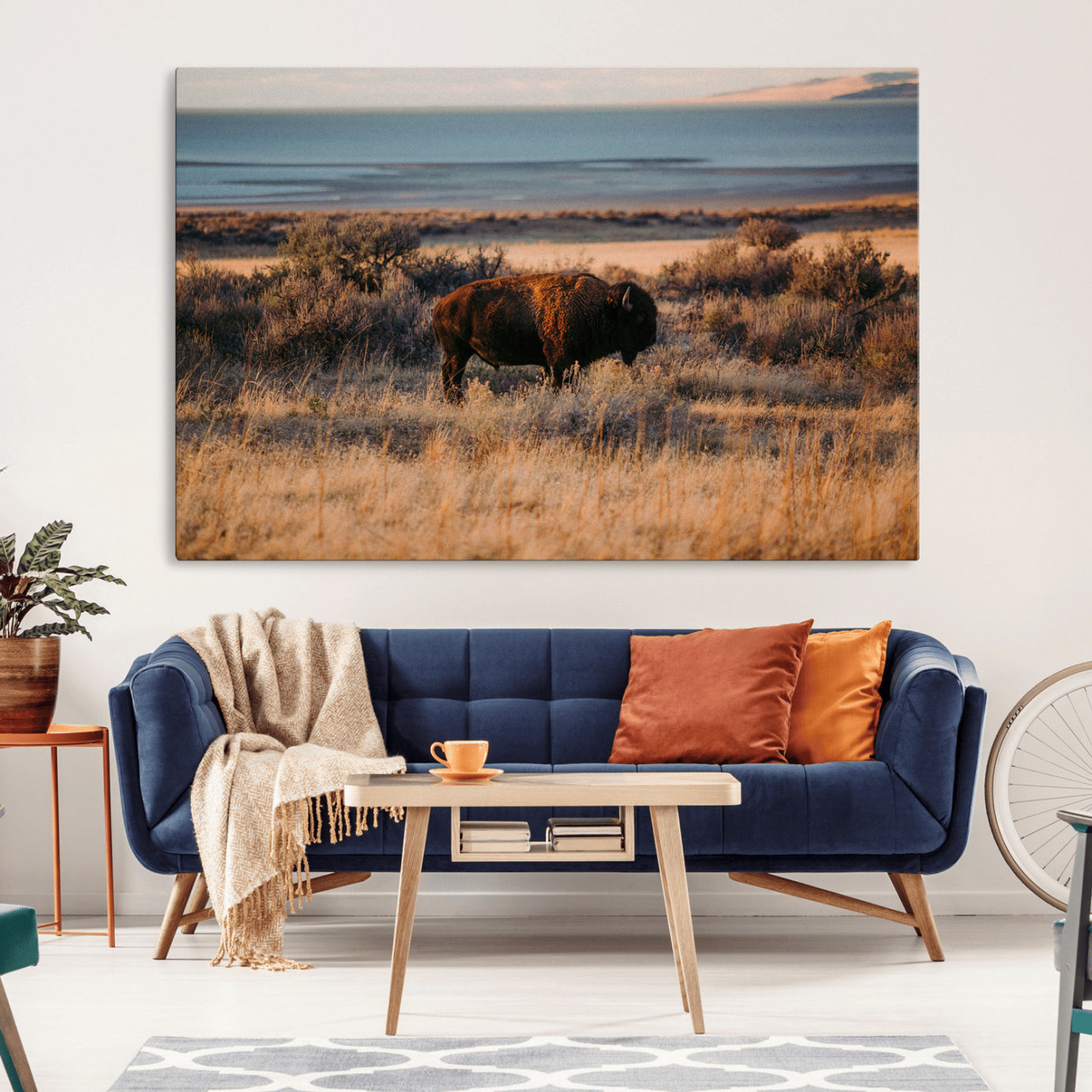 A lone bison grazing in golden prairie grass at sunset, with warm earthy tones and a distant lake view, perfect for rustic and western decor.
