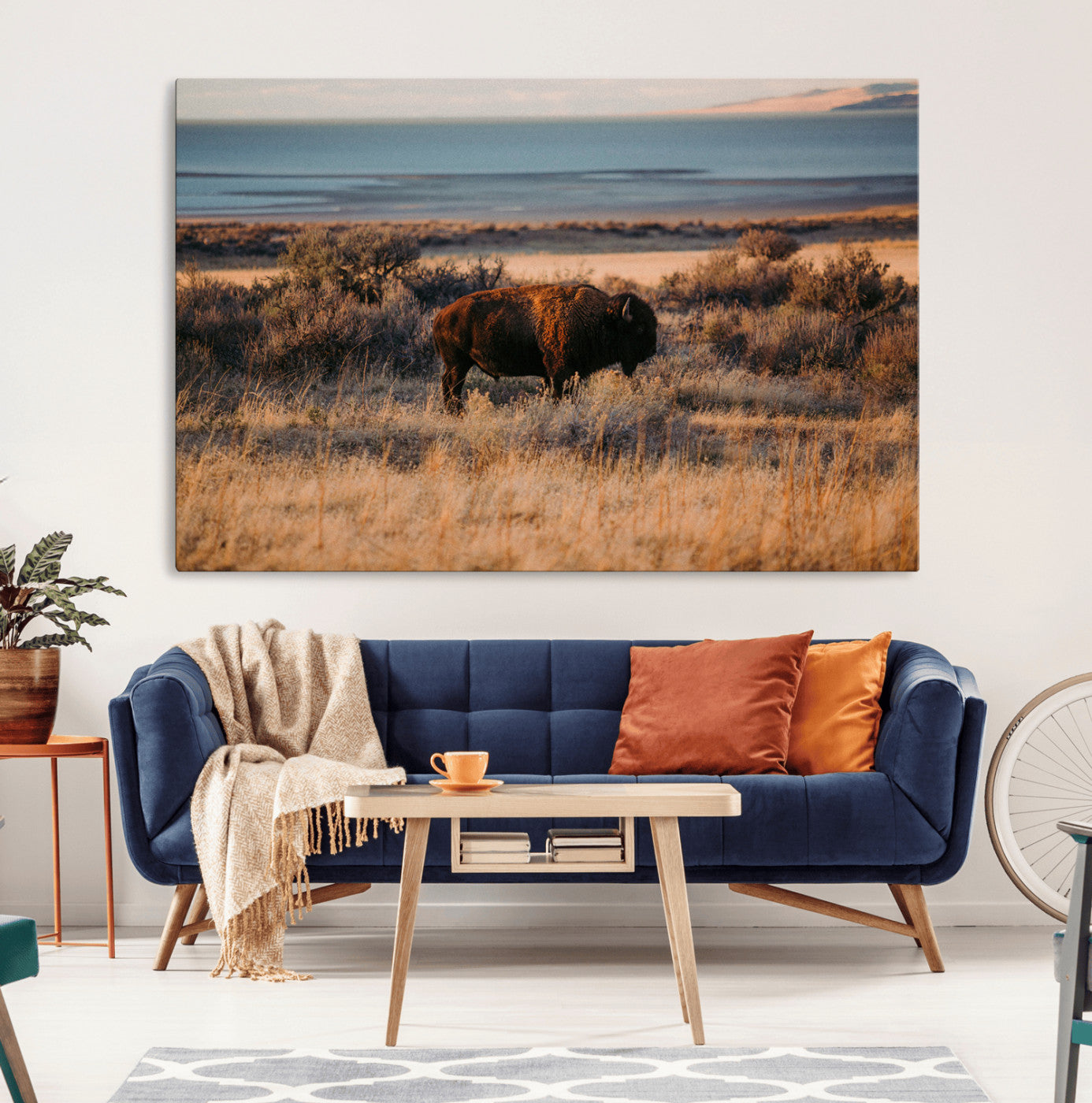 A lone bison grazing in golden prairie grass at sunset, with warm earthy tones and a distant lake view, perfect for rustic and western decor.