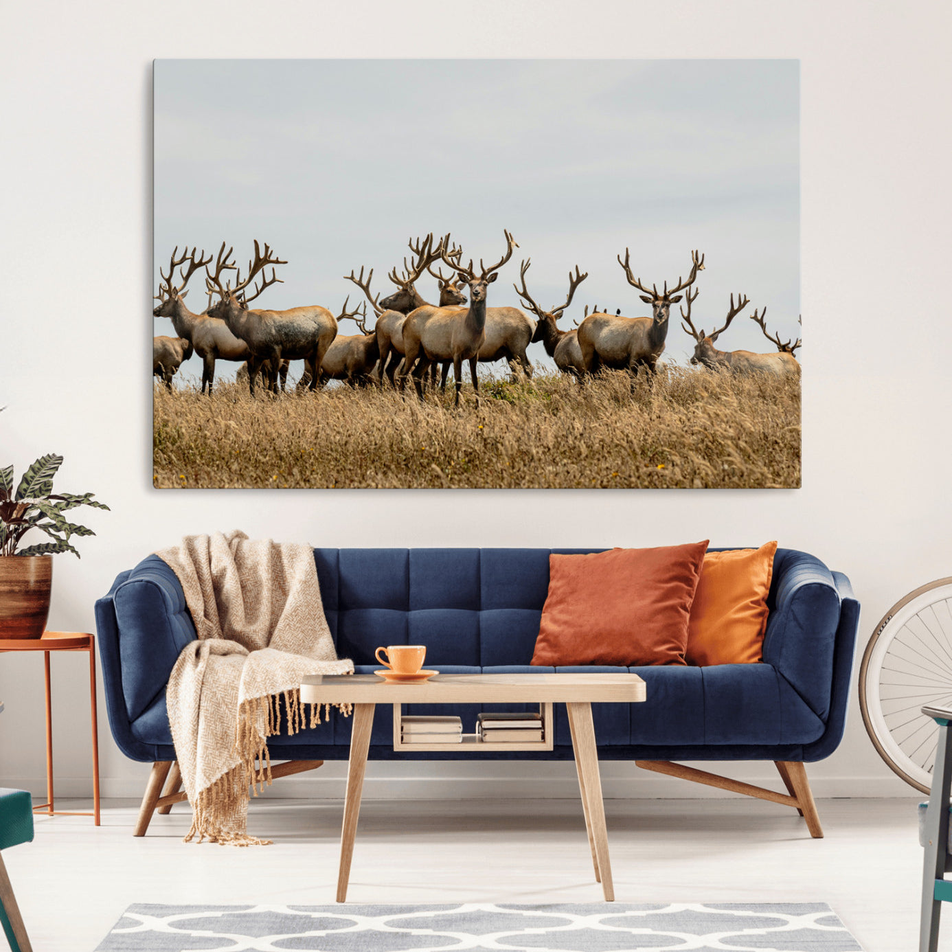 42170220-MGV-CV-36X24-Elk Herd Wall Art Canvas Print – Framed Wildlife Photography Majestic Antlers Nature Scene Artwork for Home Office