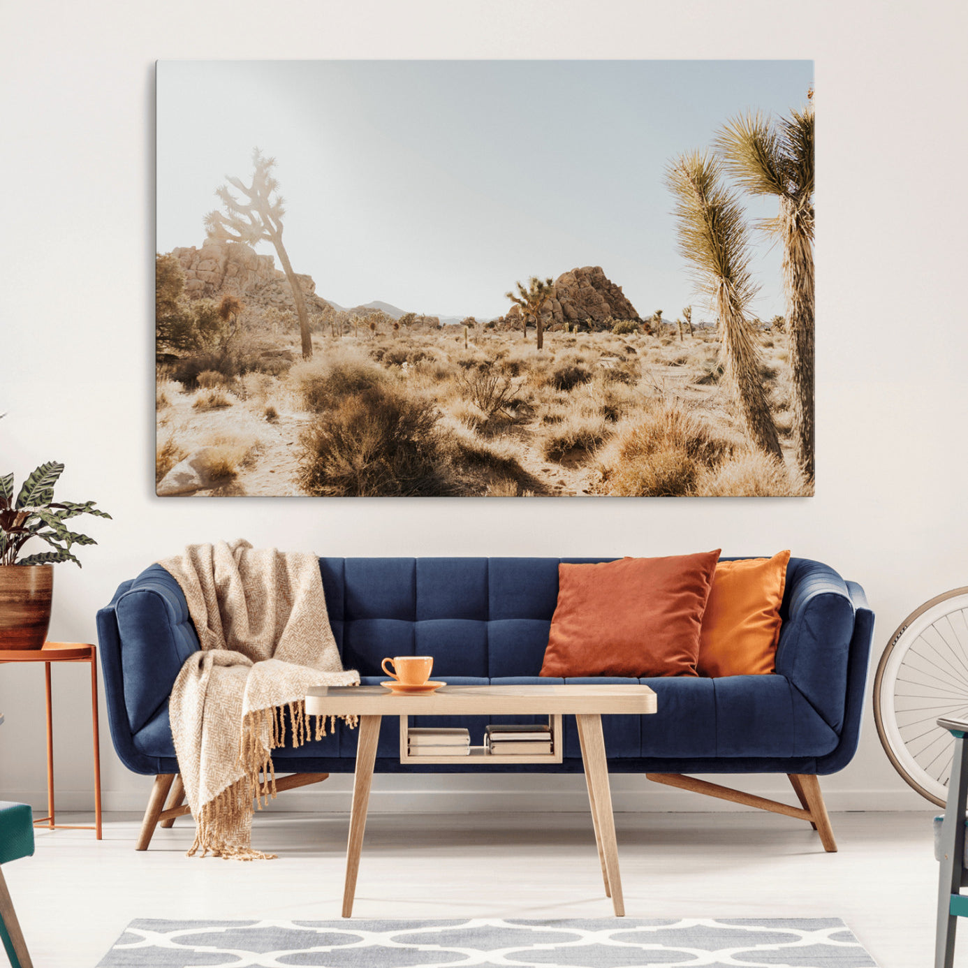 Sunlit desert landscape featuring Joshua trees, rocky formations, and dry bushes under a clear sky.