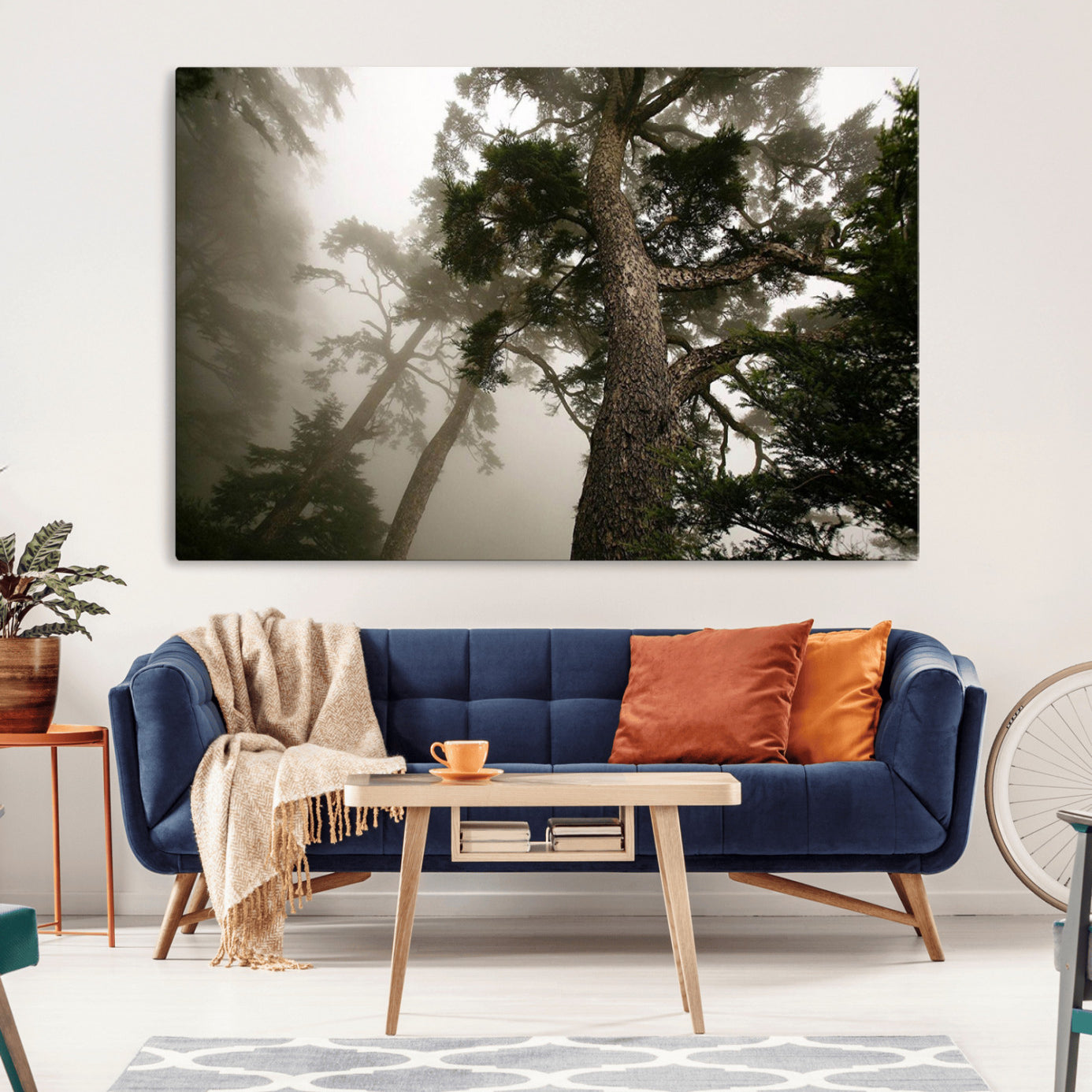 87969493-MGV-CV-36X24-Misty Forest Tall Trees Foggy Atmosphere Nature Serenity Calm Wooded Landscape Tranquil Scene