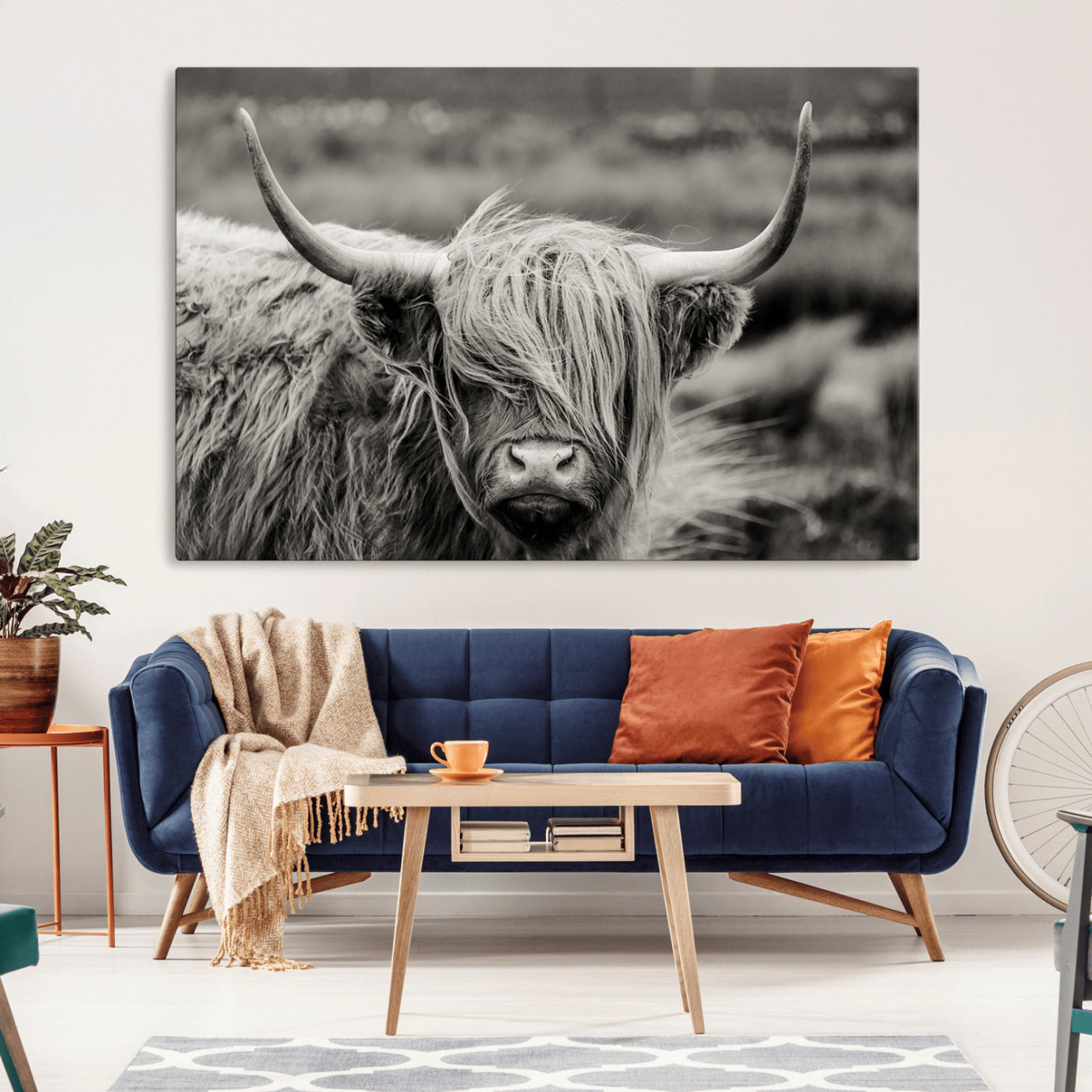 -Cow Focus Canvas Wall Art Print
