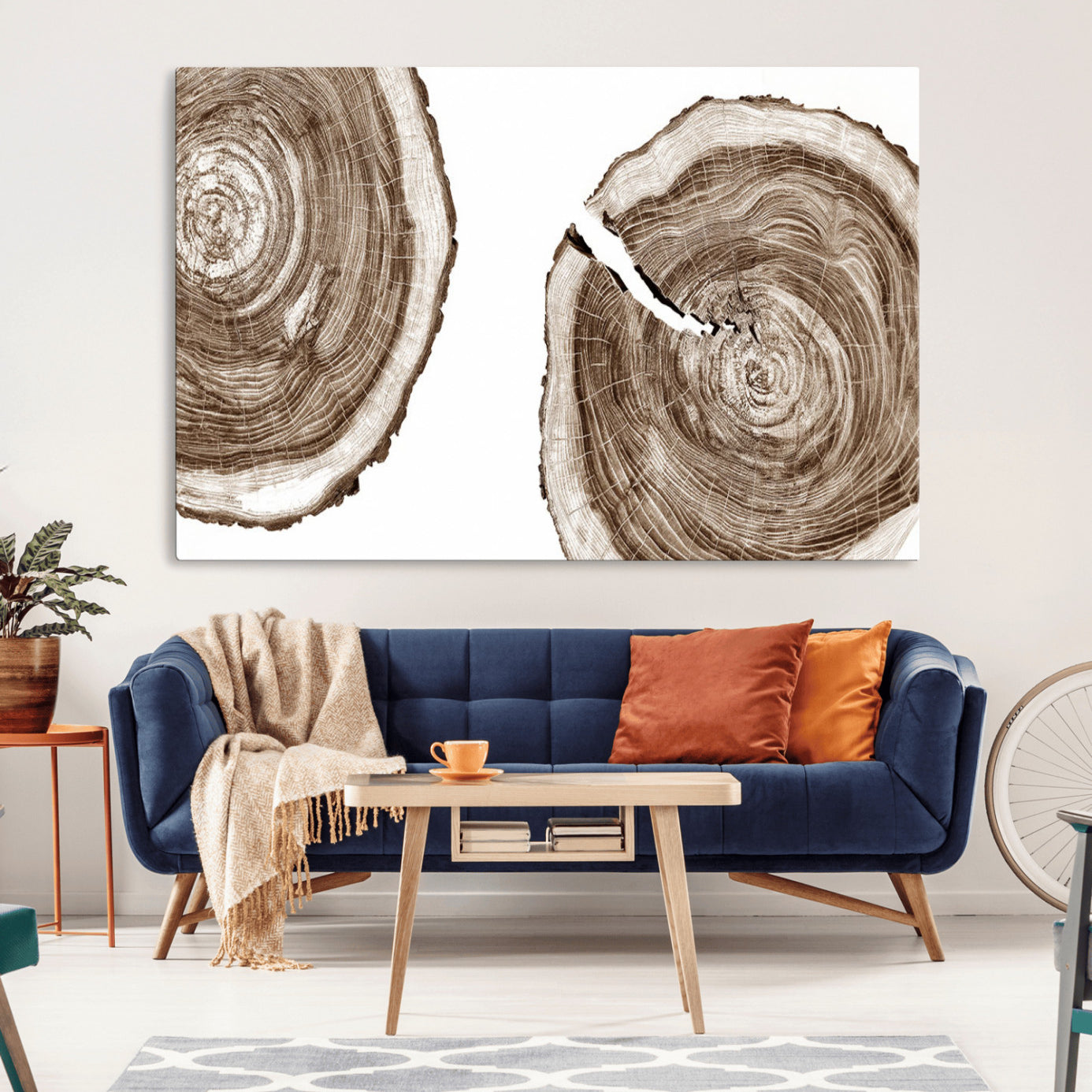 43743-MGV-CV-36X24-Wood Tree Ring Wall Art Canvas Prints, Tree Rings – Minimalist Black and White Wood Art | Triptych