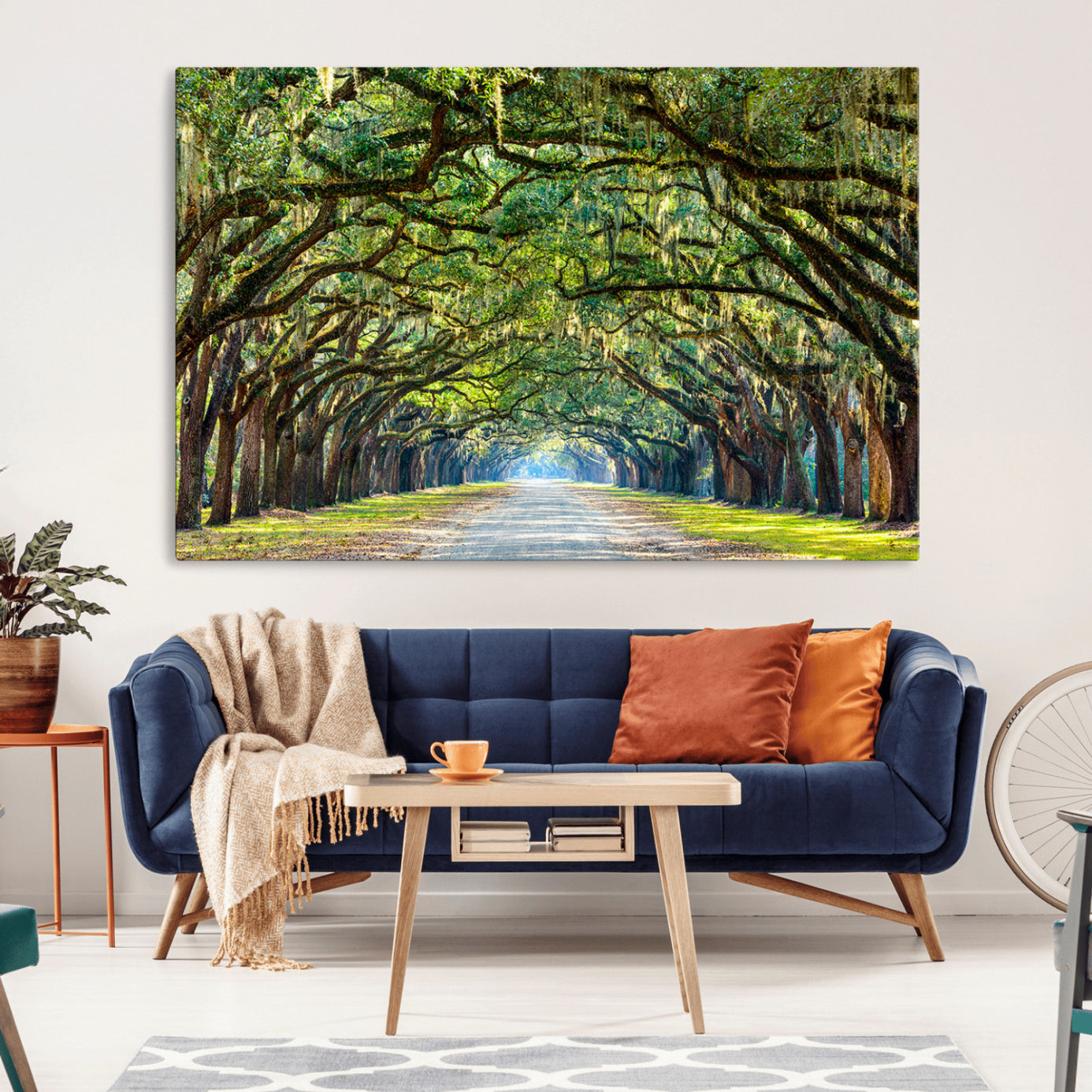 -Wormsloe State Plantation Driveway Wall Art Canvas Print