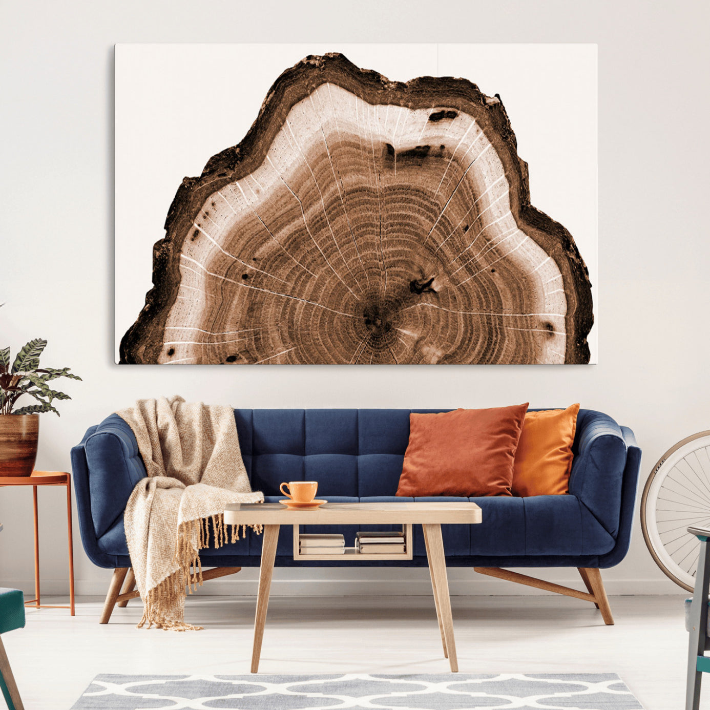 -Rustic Wood Rings Wall Art | Nature-Inspired Tree Ring Canvas Print | Ready to Hang and Framed for