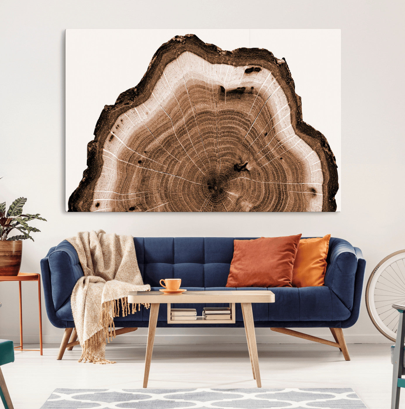 45195-MGV-CV-36X24-Rustic Wood Rings Wall Art | Nature-Inspired Tree Ring Canvas Print | Ready to Hang and Framed for
