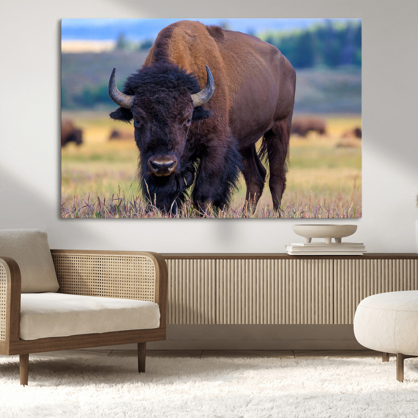 Close-up of a strong American bison standing in a grassy prairie with a blurred herd in background, perfect for rustic lodge decor.