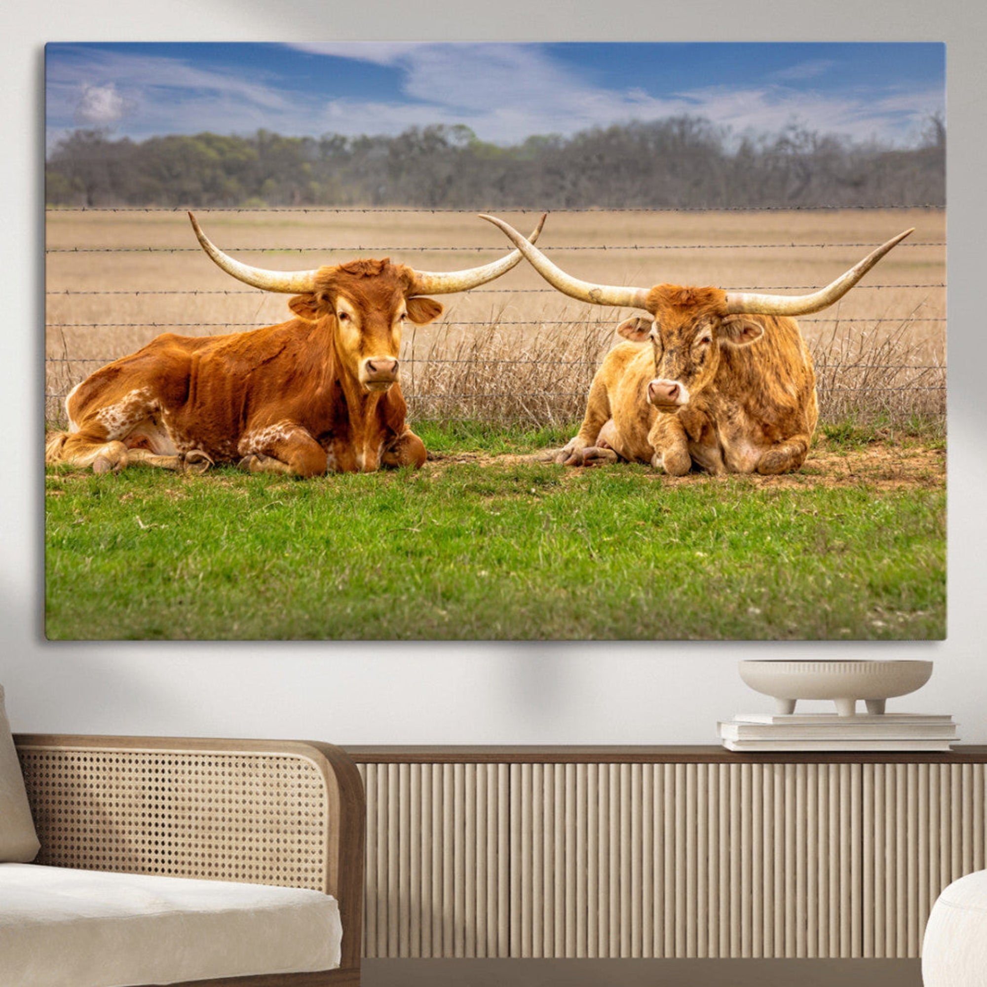 Two longhorn cows lying on green grass in front of a golden field and trees under a blue sky, perfect for rustic country wall decor.