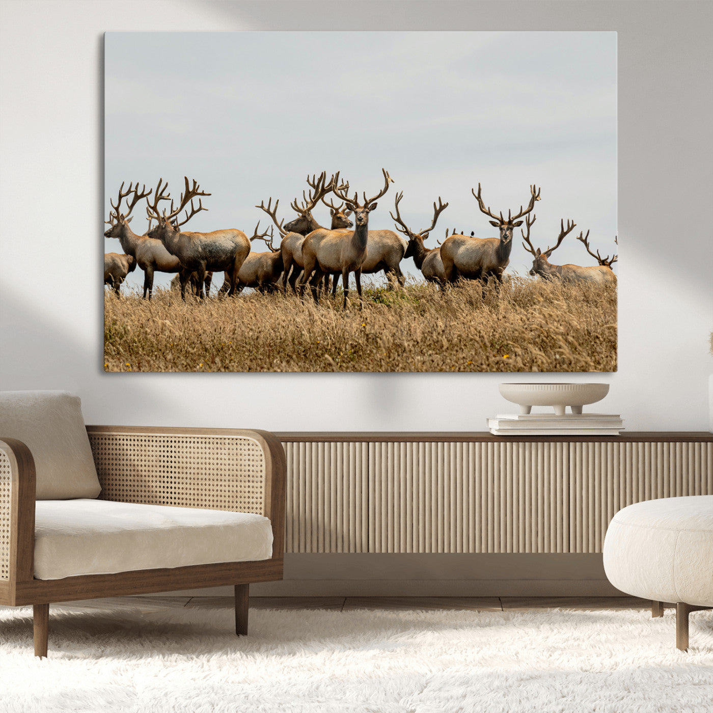 42170220-MGV-CV-36X24-Elk Herd Wall Art Canvas Print – Framed Wildlife Photography Majestic Antlers Nature Scene Artwork for Home Office