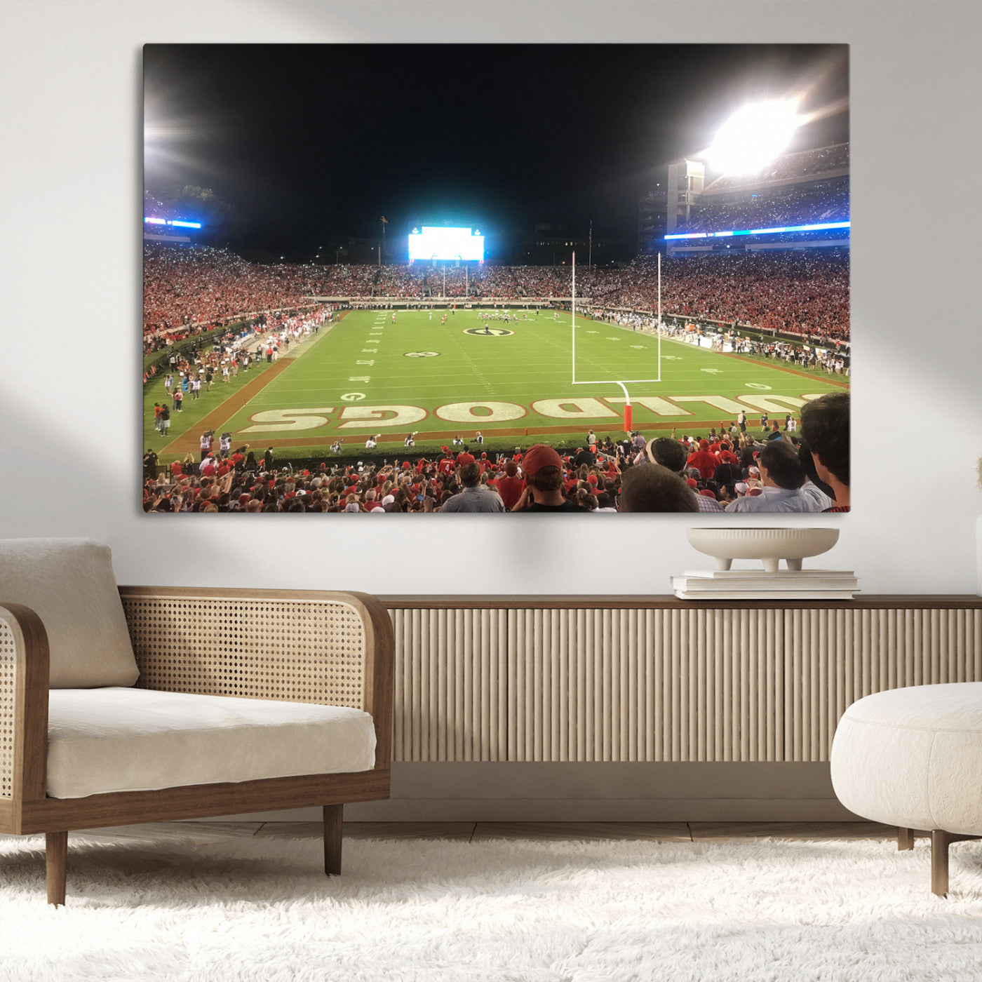 16230786-MGV-CV-36X24-Dooley Stadium Wall Art, Sports Arena Panoramic Canvas Print, Modern Stadium Landscape Artwork for Home, Office