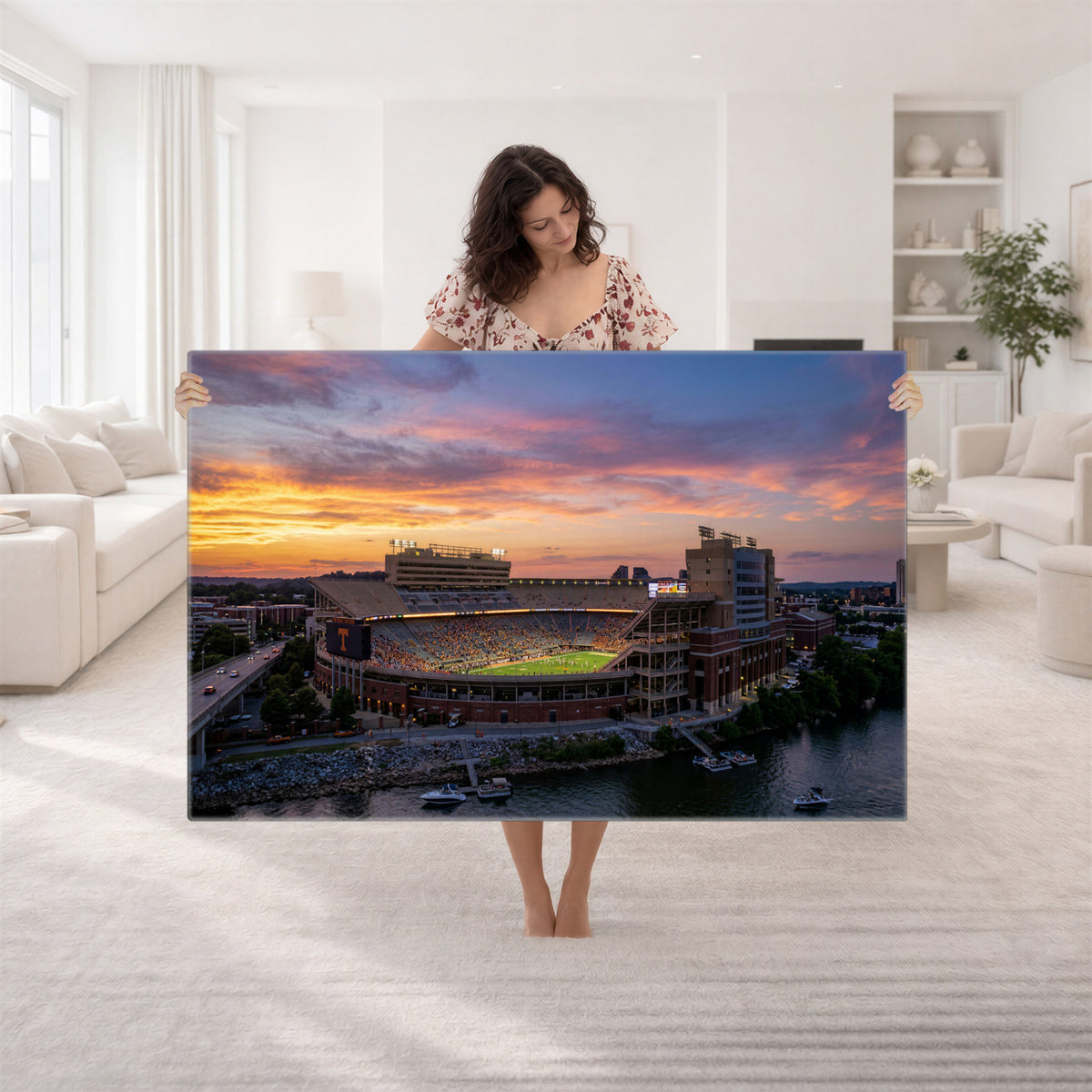 61093642-MGV-CV-36X24 - Stadium Wall Art Canvas Print