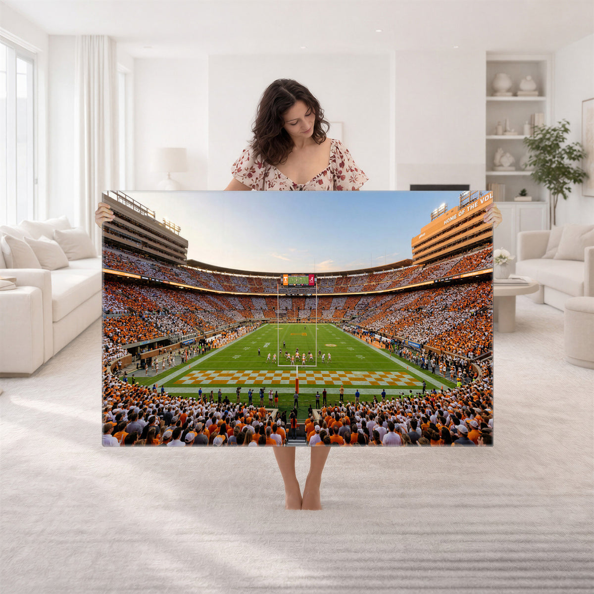 74509135-MGV-CV-36X24 - Stadium Wall Art Canvas Print