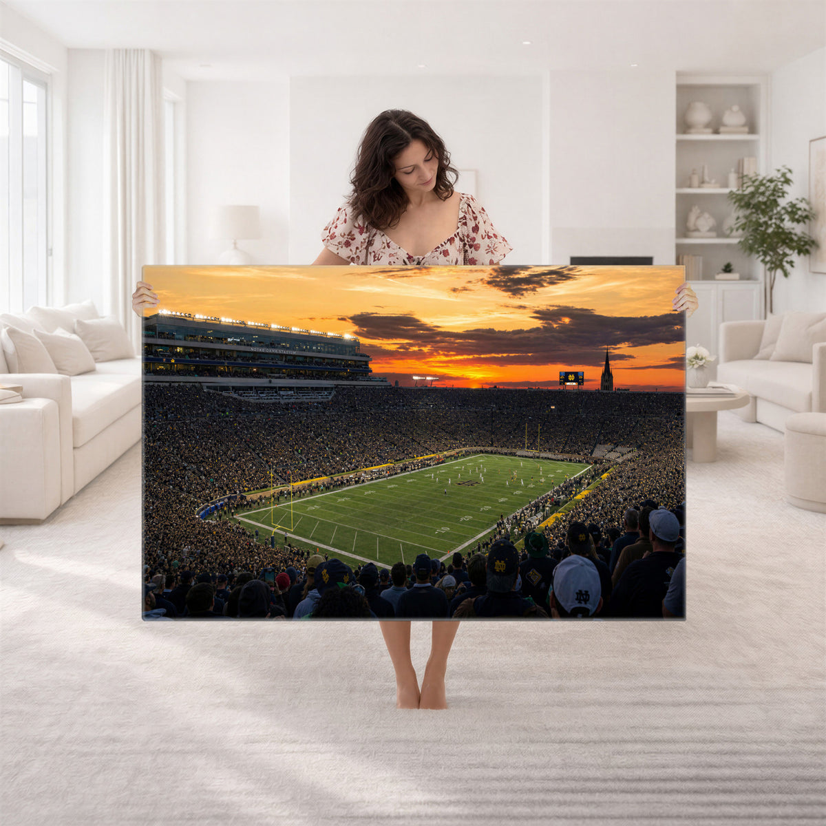 73585402-MGV-CV-36X24 - Stadium Wall Art Canvas Print