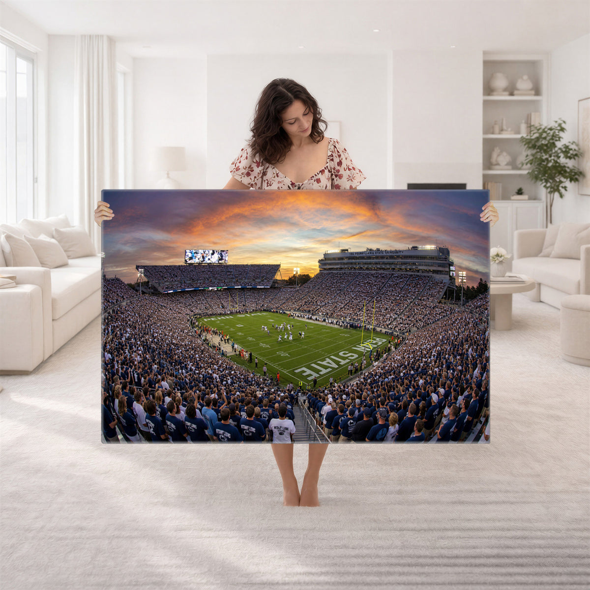 29008668-MGV-CV-36X24 - Stadium Wall Art Canvas Print