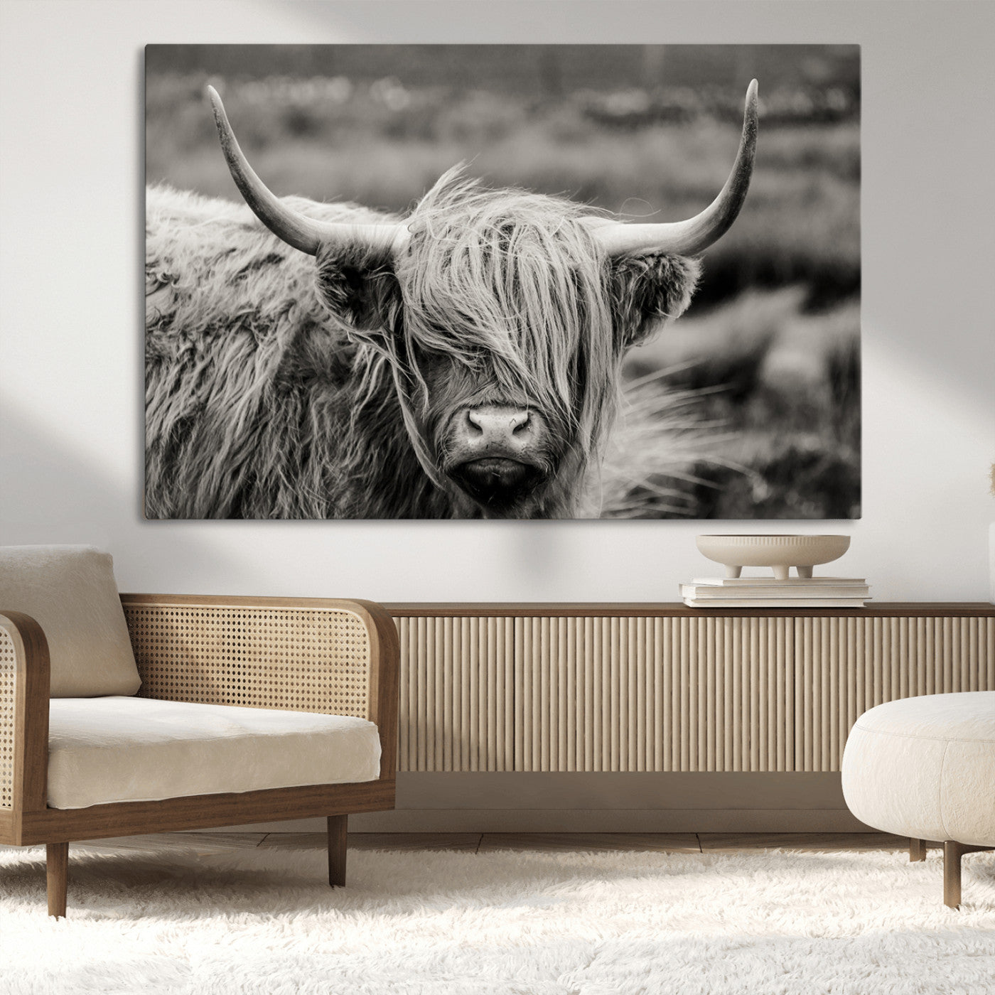 -Cow Focus Canvas Wall Art Print