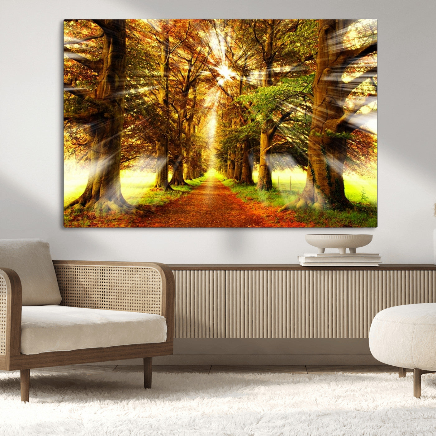 -Sunshine in Forest and Trees Wall Art Canvas Print