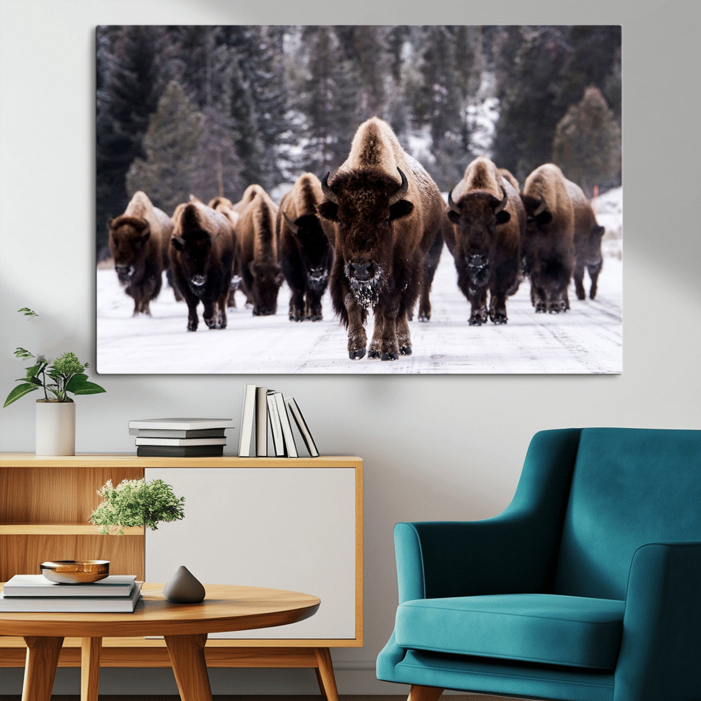 -Bison Wall Art Canvas Print- Bison Herd Canvas Wall Art – Majestic Wildlife Photography – Framed and