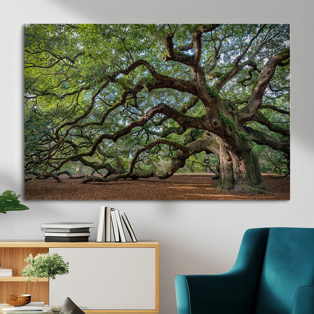 MGV-CV-36X24 - Ancient Oak Tree Wall Art – Canvas Print of Expansive Branches Lush Green Canopy, Tranquil Landscape, Majestic Nature Decor for Home or Office