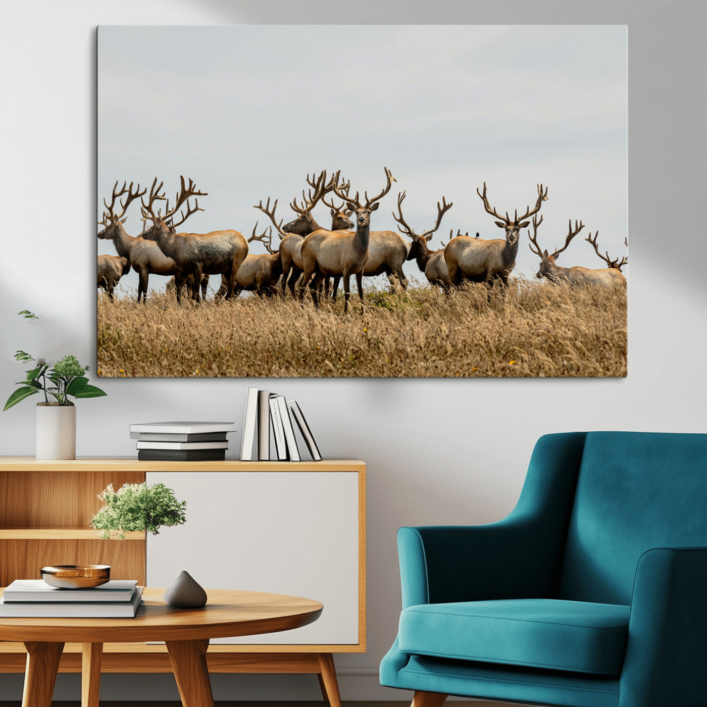 42170220-MGV-CV-36X24-Elk Herd Wall Art Canvas Print – Framed Wildlife Photography Majestic Antlers Nature Scene Artwork for Home Office