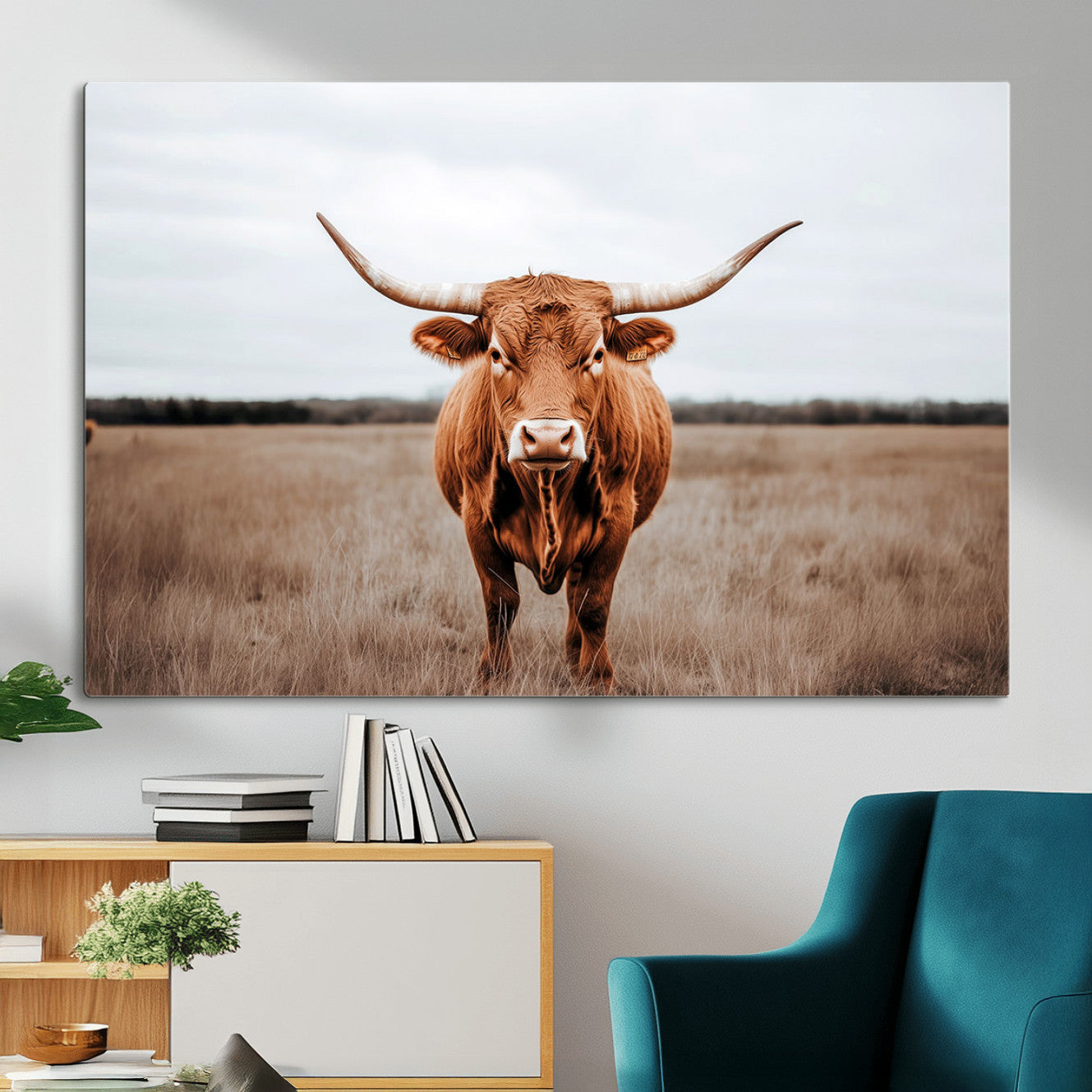 16316734-MGV-CV-36X24 - Longhorn bull, open field, rustic charm, natural beauty, Wall Art Canvas Print, countryside,