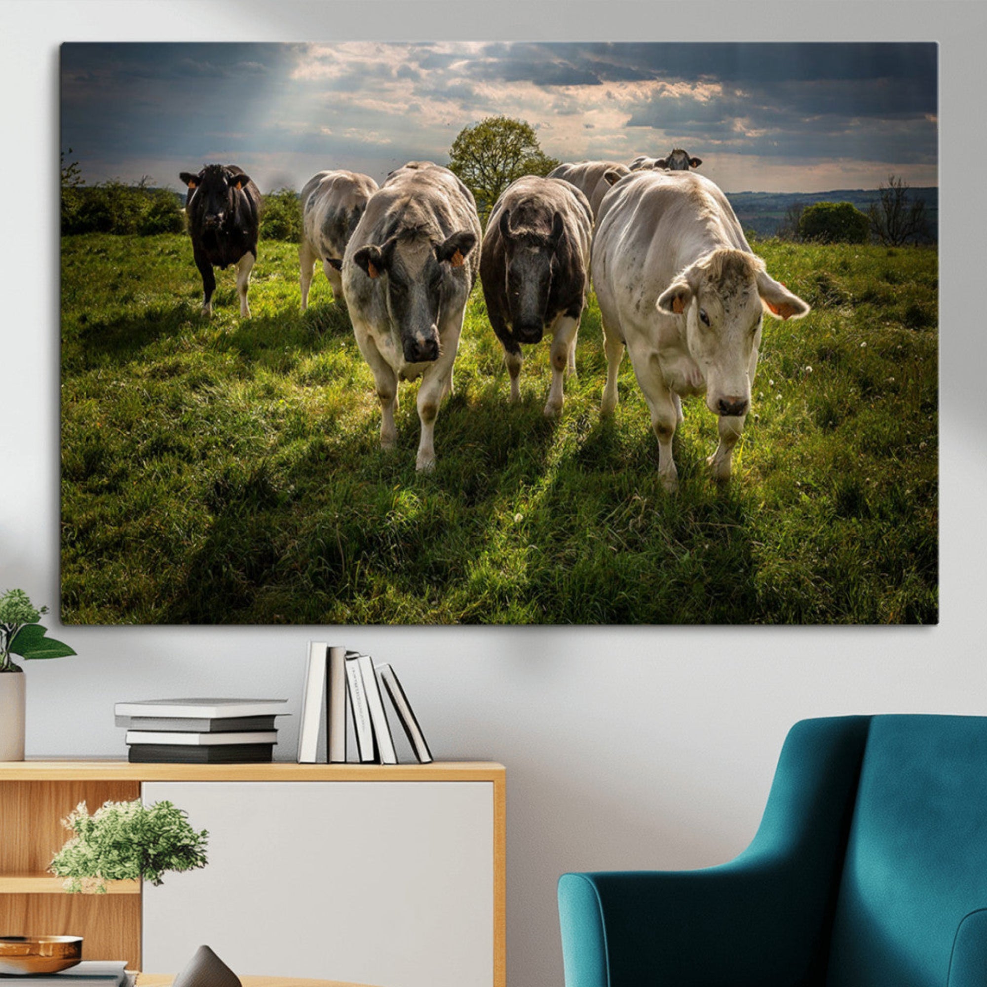 67277447-MGV-CV-36X24-Grazing Cattle Herd Pasture Green Field Livestock Natural Farm Animals Rural Life Outdoor Wall Art Canvas Print