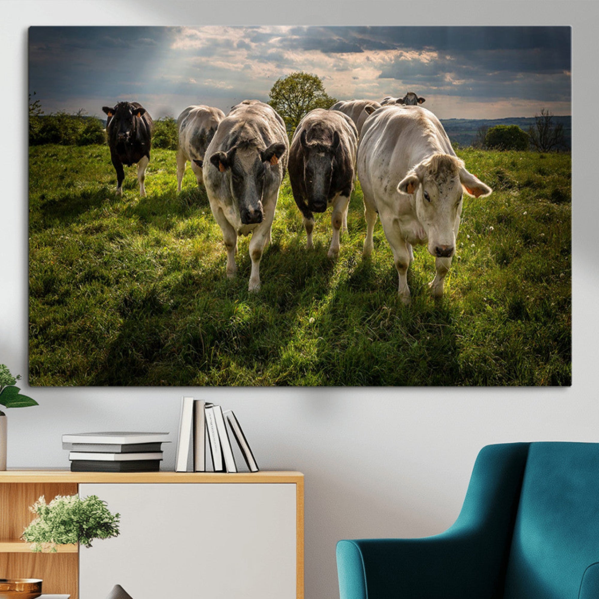 67277447-MGV-CV-36X24-Grazing Cattle Herd Pasture Green Field Livestock Natural Farm Animals Rural Life Outdoor Wall Art