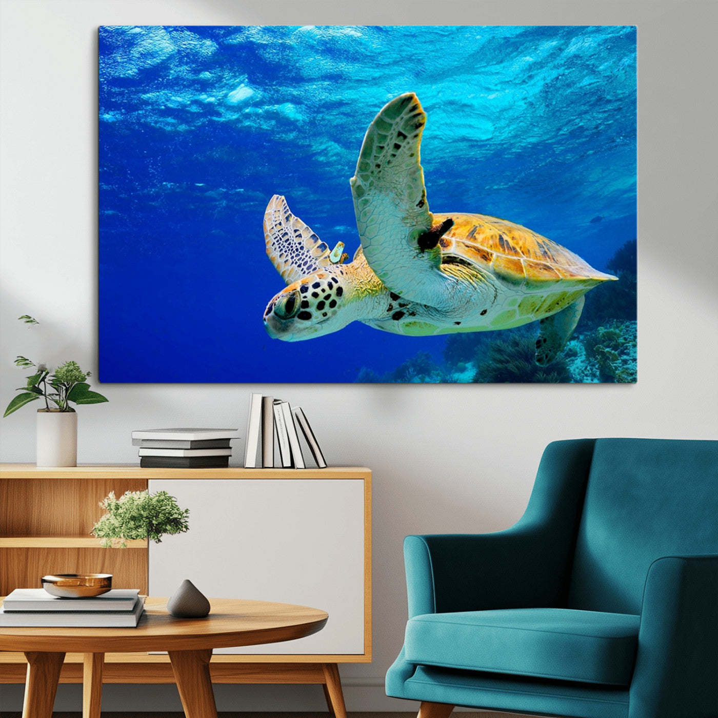 16292-MGV-CV-36X24-Sea Turtle Wall Art Canvas Print, Sea life in the Ocean Wall Art Printing