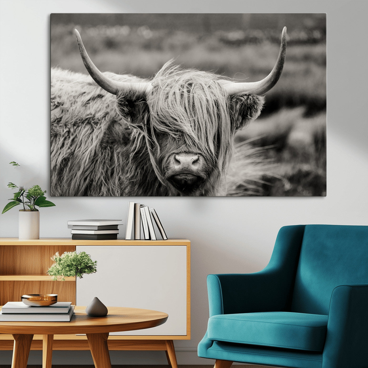 -Cow Focus Canvas Wall Art Print