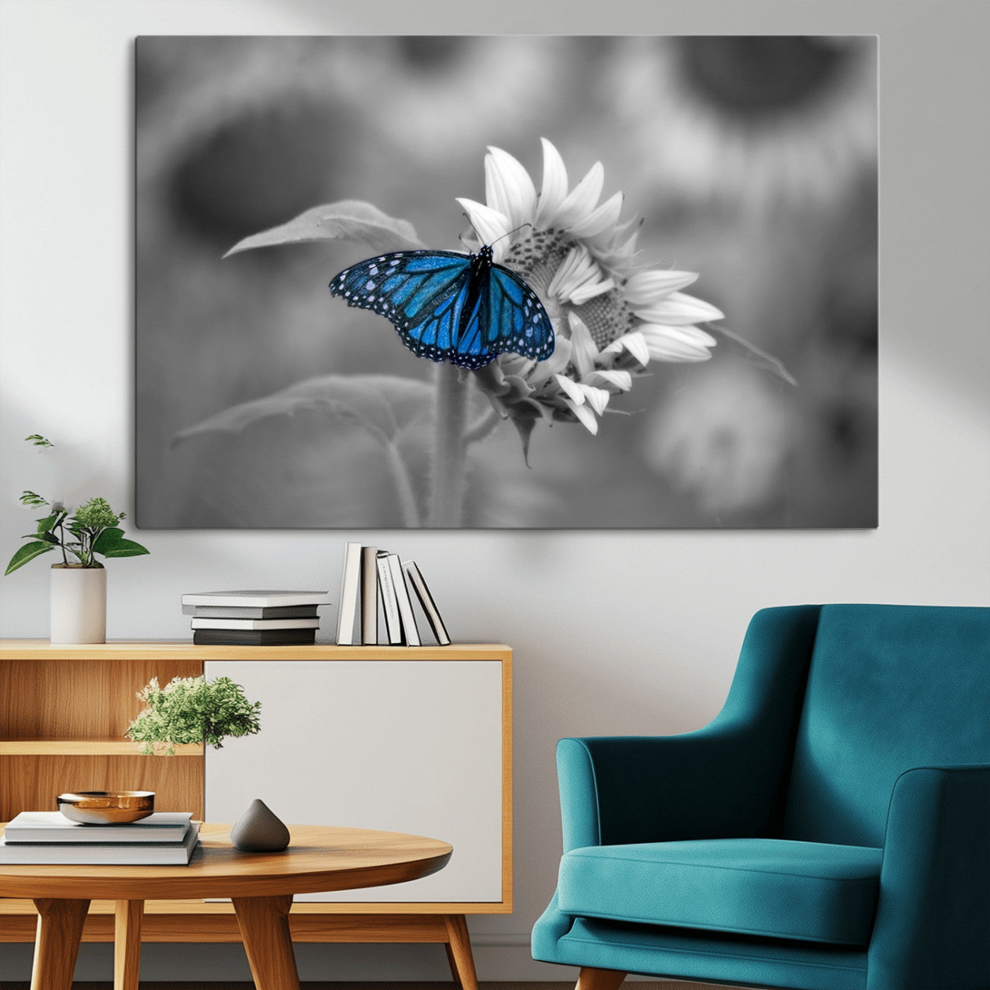 41965-MGV-CV-36X24-Blue Butterfly Black and White Canvas Wall Art