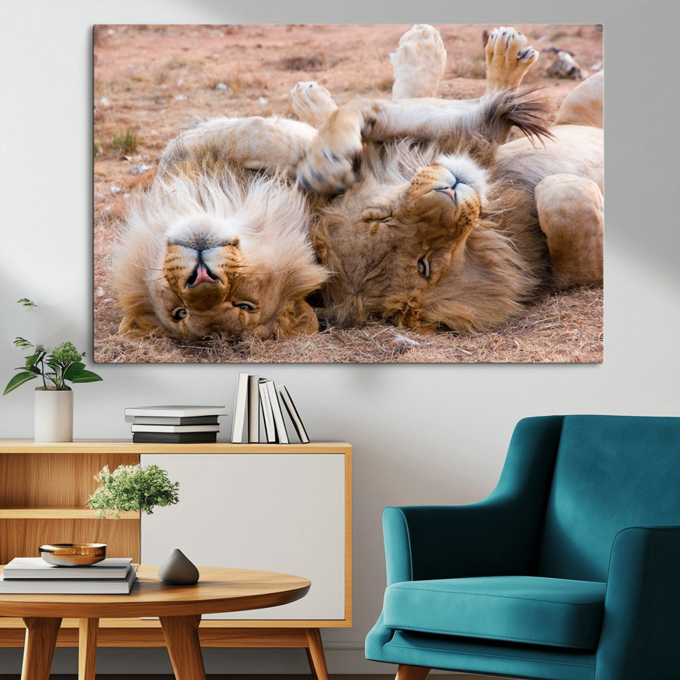 62598-MGV-CV-36X24-Lion Pair Wall Art Canvas Print – Framed Wildlife Scene with Playful Lions Artwork for Home, Office, Living Room