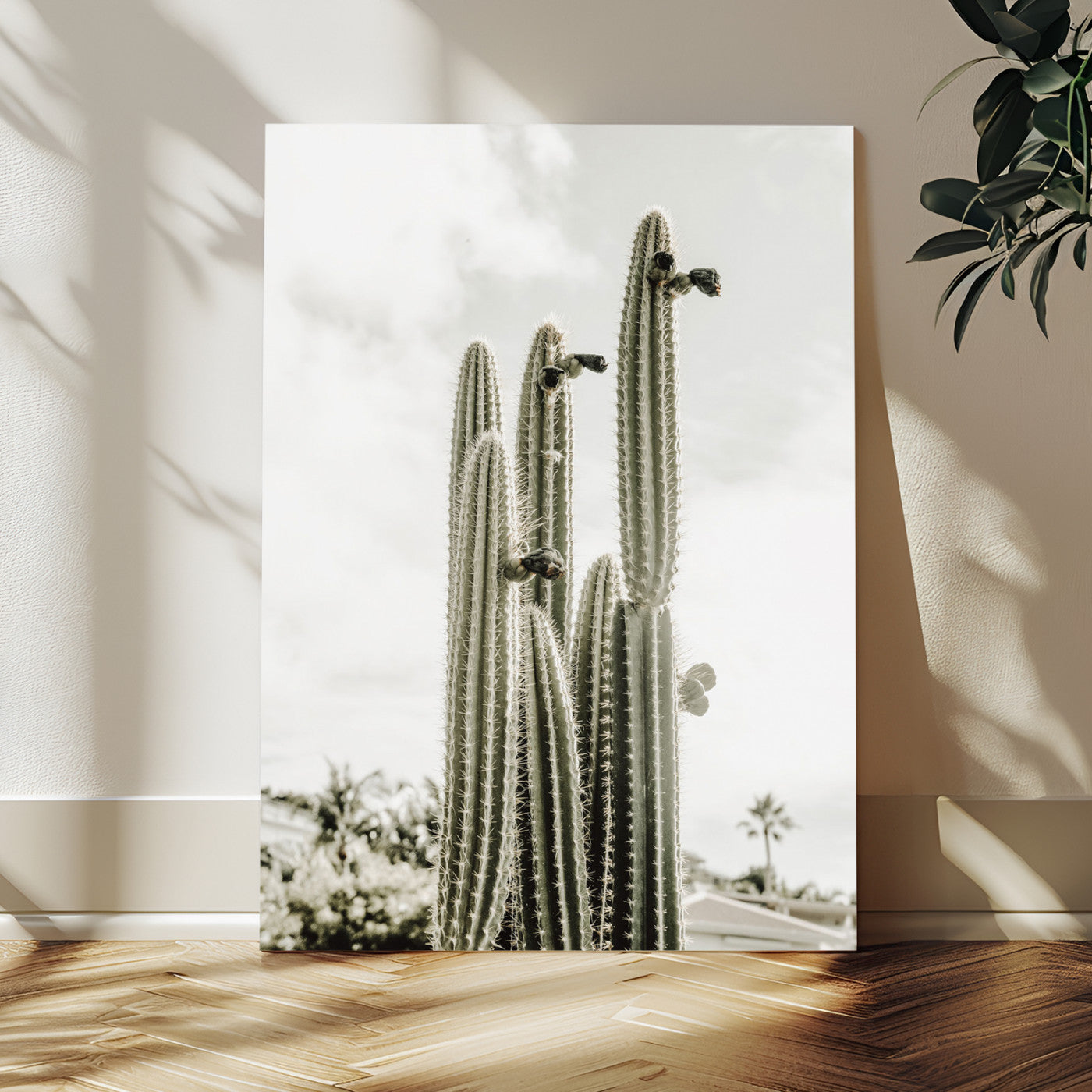 79942620-MGV-CV-24X36 - Tall Saguaro Cactus in Desert Sun Wall Art Canvas Print - Minimalist Boho Botanical Decor