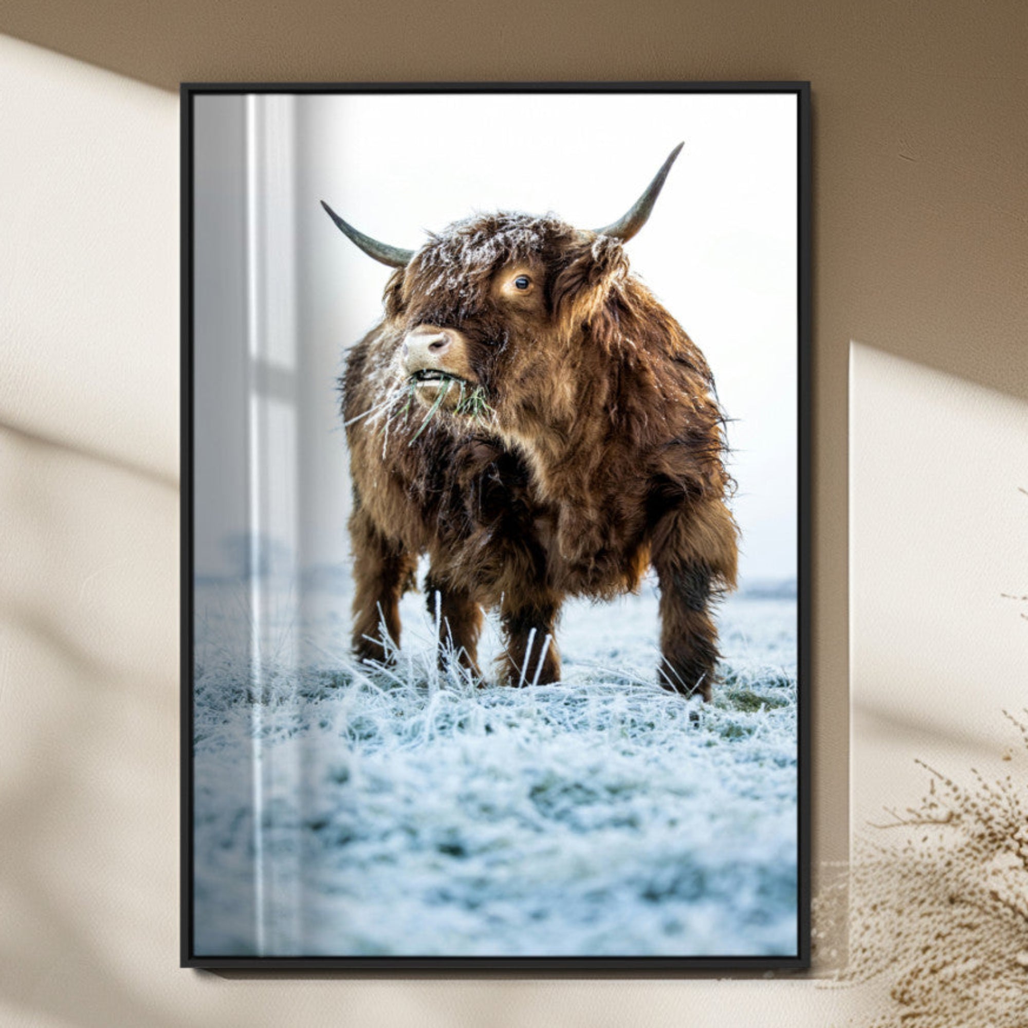 -Minimalist Scottish Highlang Cow Wall Art Canvas Print for Farmhouse / County Style Art Print for