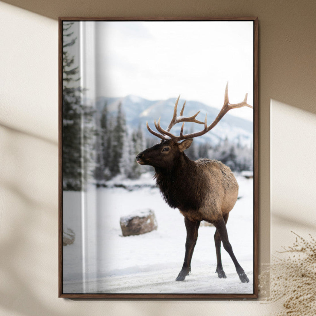 Elk Photography Wall Art Canvas Print, Framed Winter Wildlife Art, Snowy Mountains Rustic Cabin Decor
