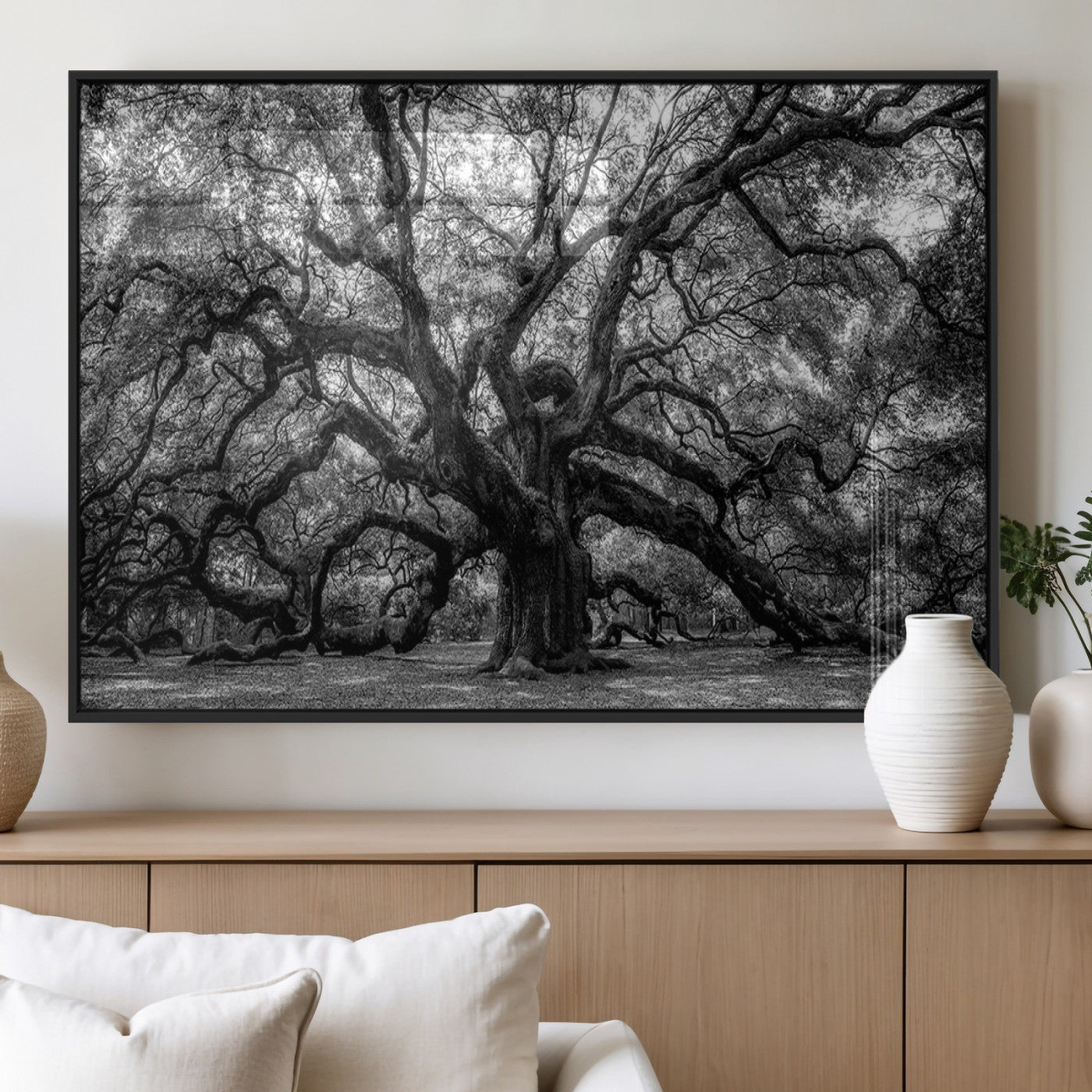 132944706-MGV-CV-36X24 - Black and White Old Angel Oak Tree Wall Art Canvas Print