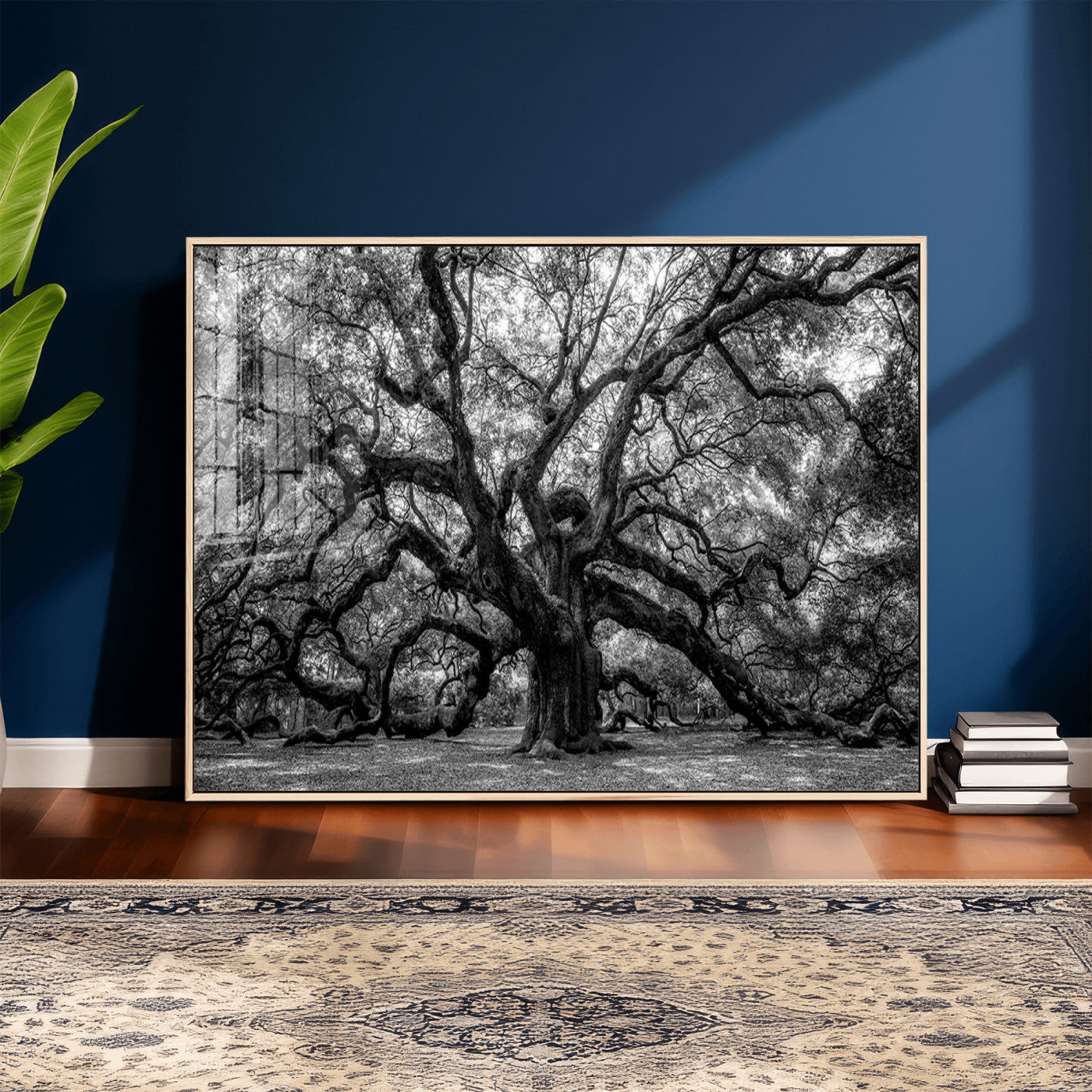 132944706-MGV-CV-36X24 - Black and White Old Angel Oak Tree Wall Art Canvas Print