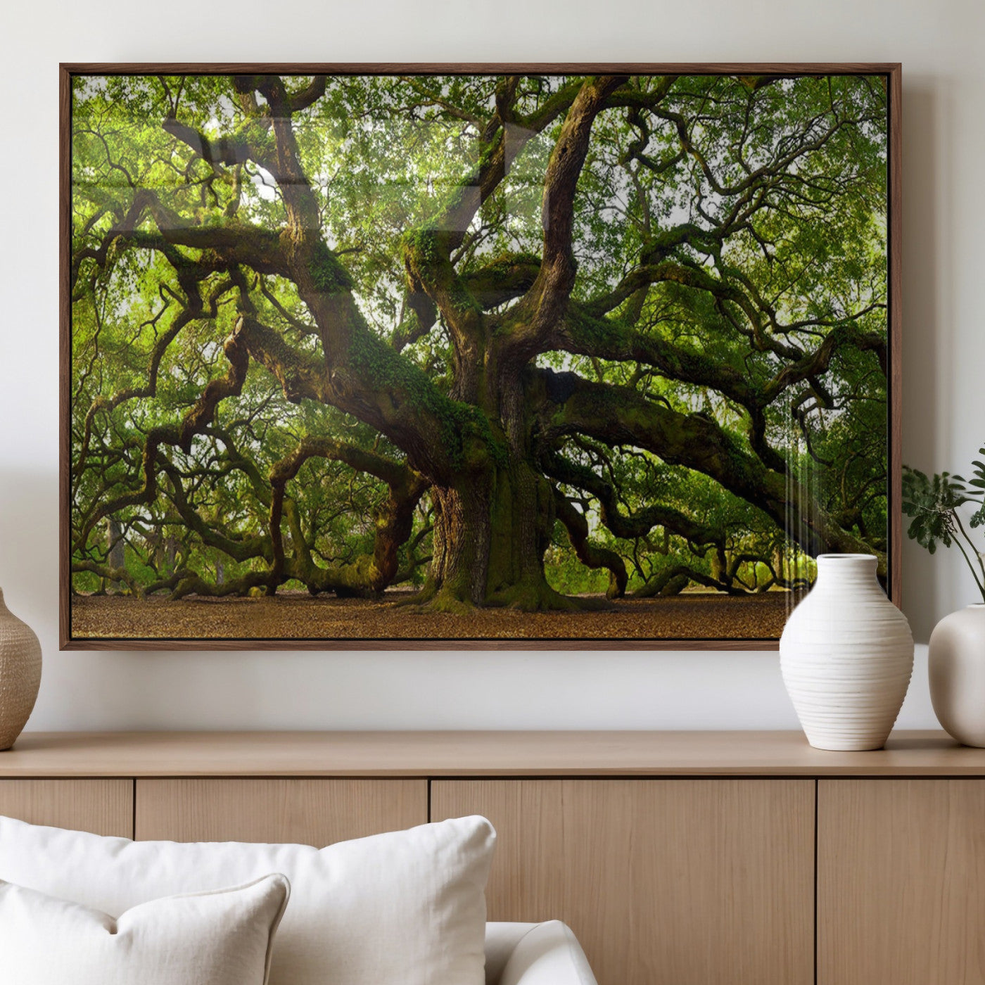 29407-MGV-FP-36X24-3P_Walnut-Angel Oak Tree Wall Art Canvas Print | Forest Tree Nature Photography Print on Canvas | Large