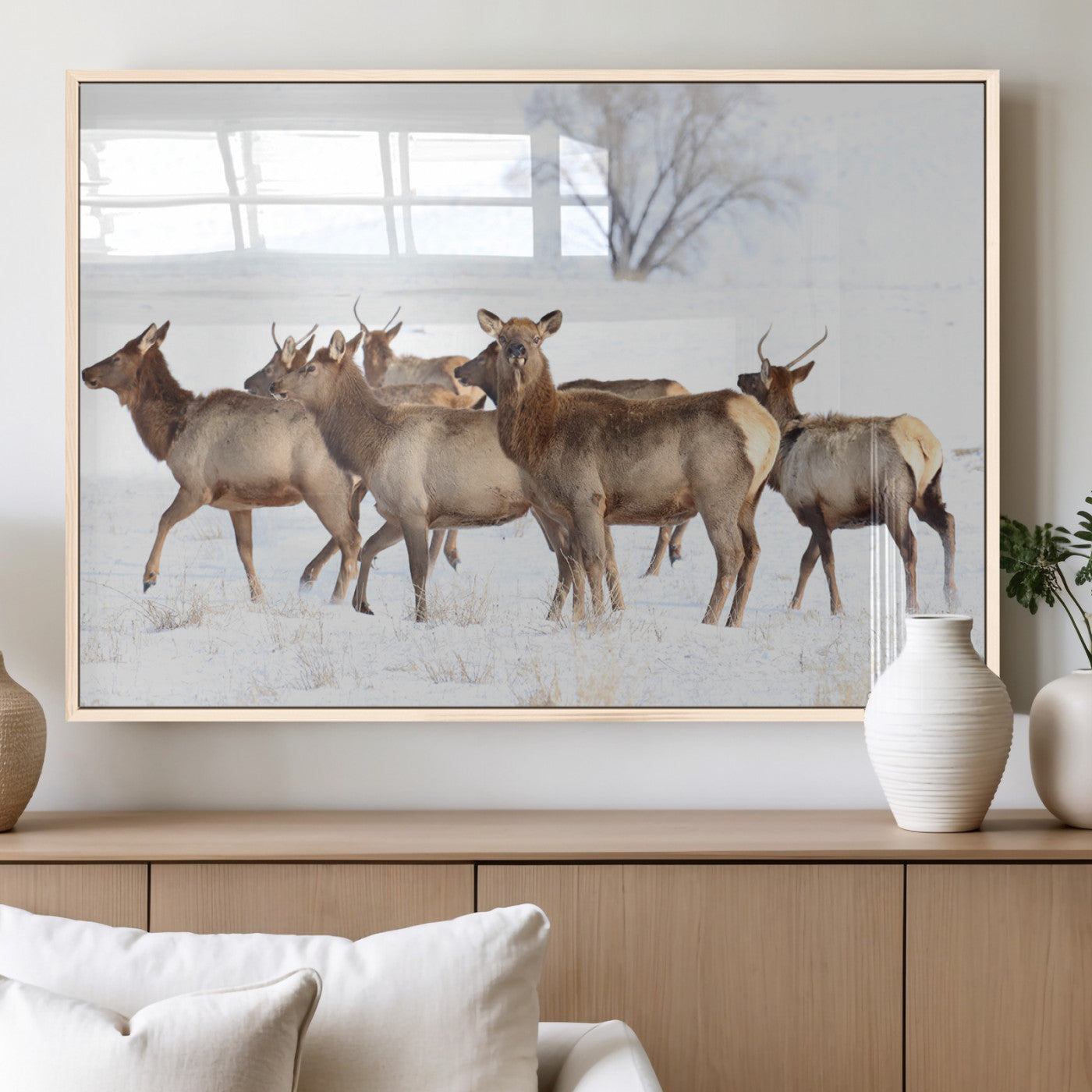A herd of elk standing on snow-covered ground with a bare tree in the background, showcasing natural wildlife in a winter landscape.