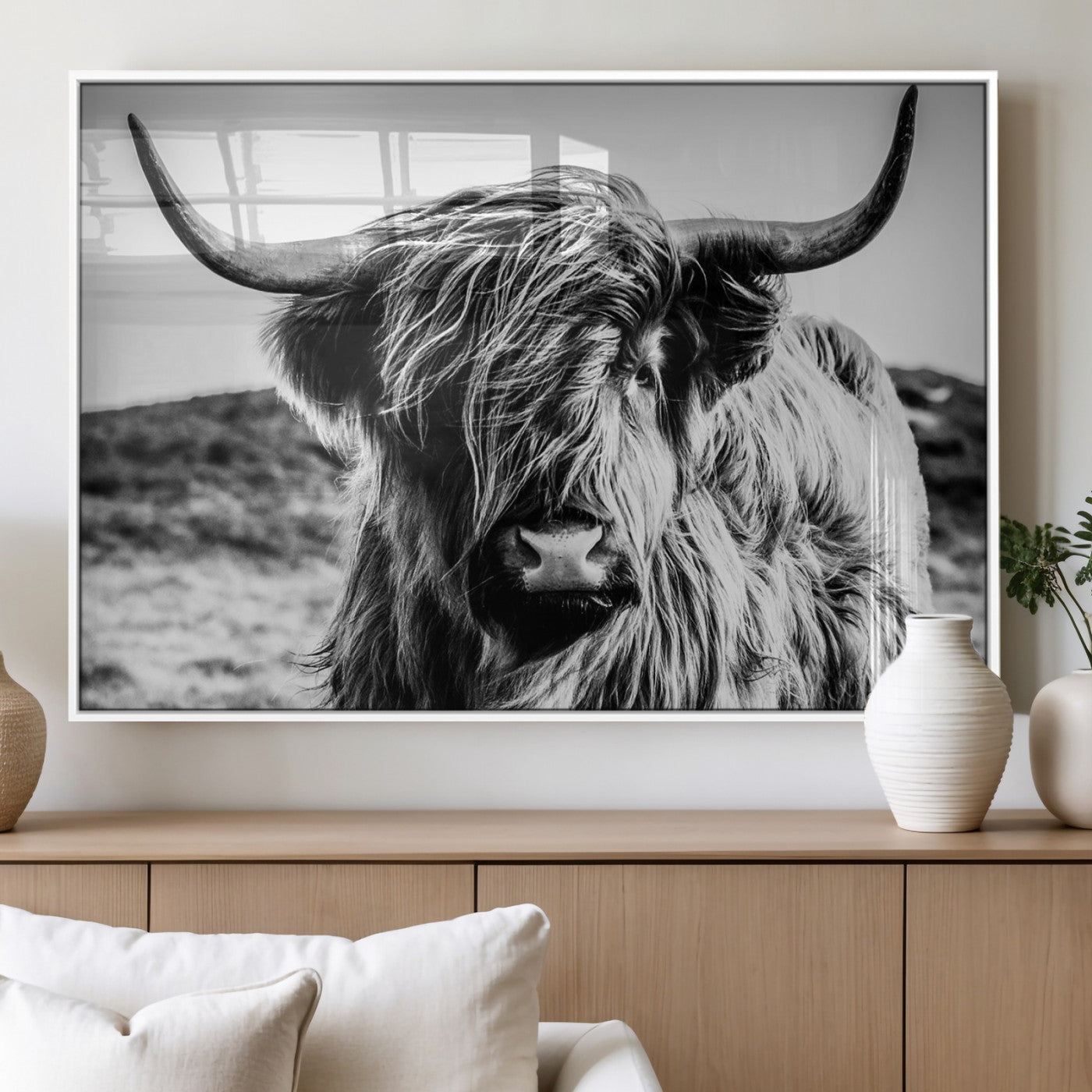 54309-MGV-CV-36X24 - Black and White Scottish Cow Canvas Wall Art Highland Cattle Canvas Print Framed Ready to Hang Original Cotton Canvas High Quality Image Multi Panel Wall Art Printable Artwork for Walls